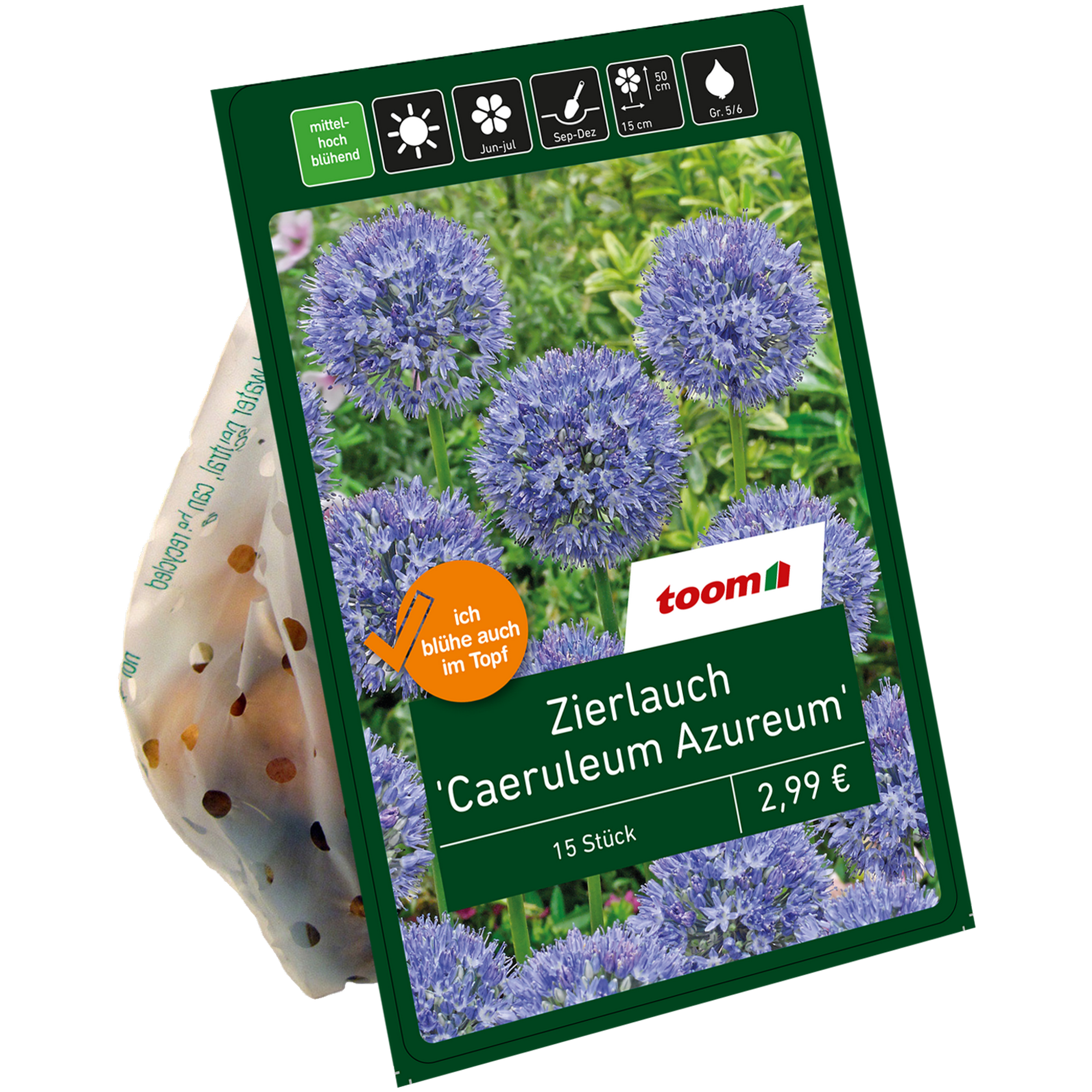 Zierlauch 'Caeruleum-Azureum' blau 15 Zwiebeln + product picture