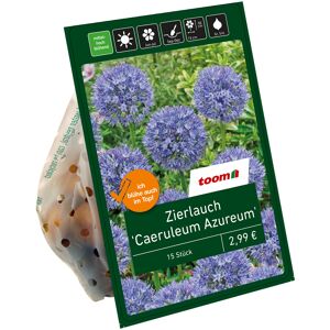 Zierlauch 'Caeruleum-Azureum' blau 15 Zwiebeln