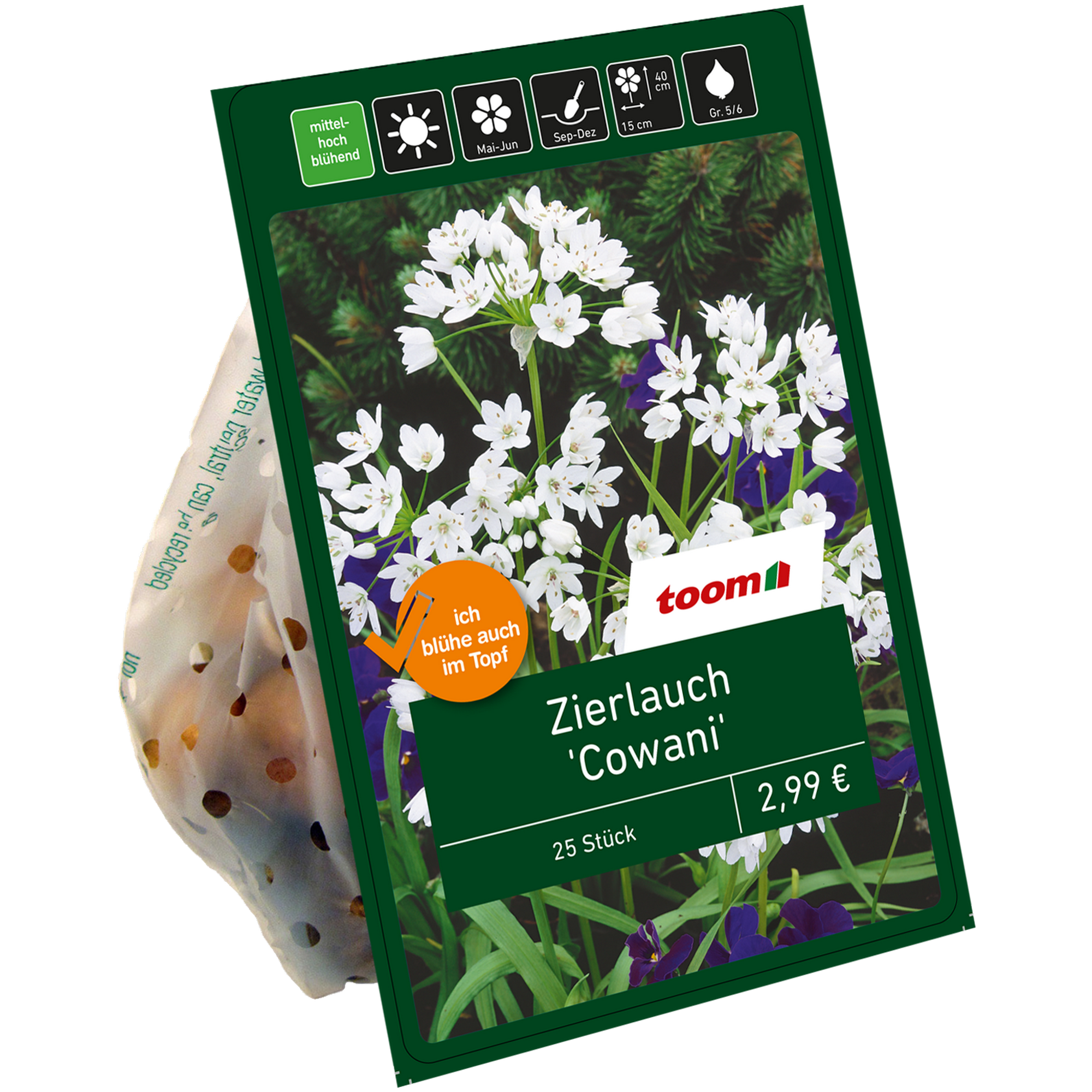 Zierlauch 'Cowani' weiß 25 Zwiebeln + product picture