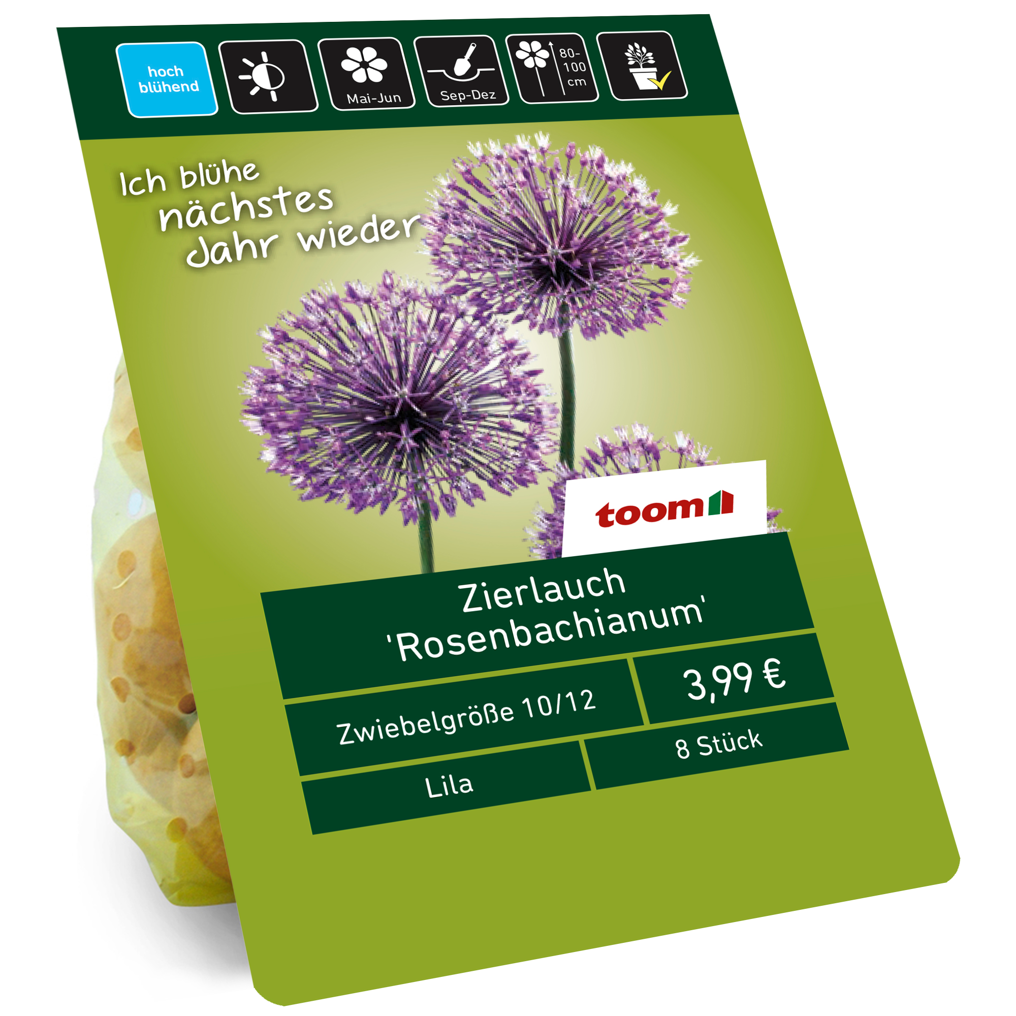 Zierlauch 'Rosenbachianum' violett 8 Zwiebeln + product picture