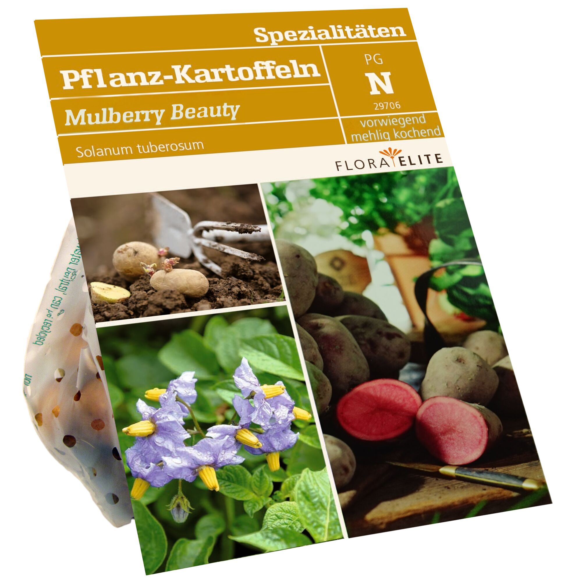 Pflanzkartoffeln Mulberry Beauty, Saatgut, Knollen, Blüten und Messer