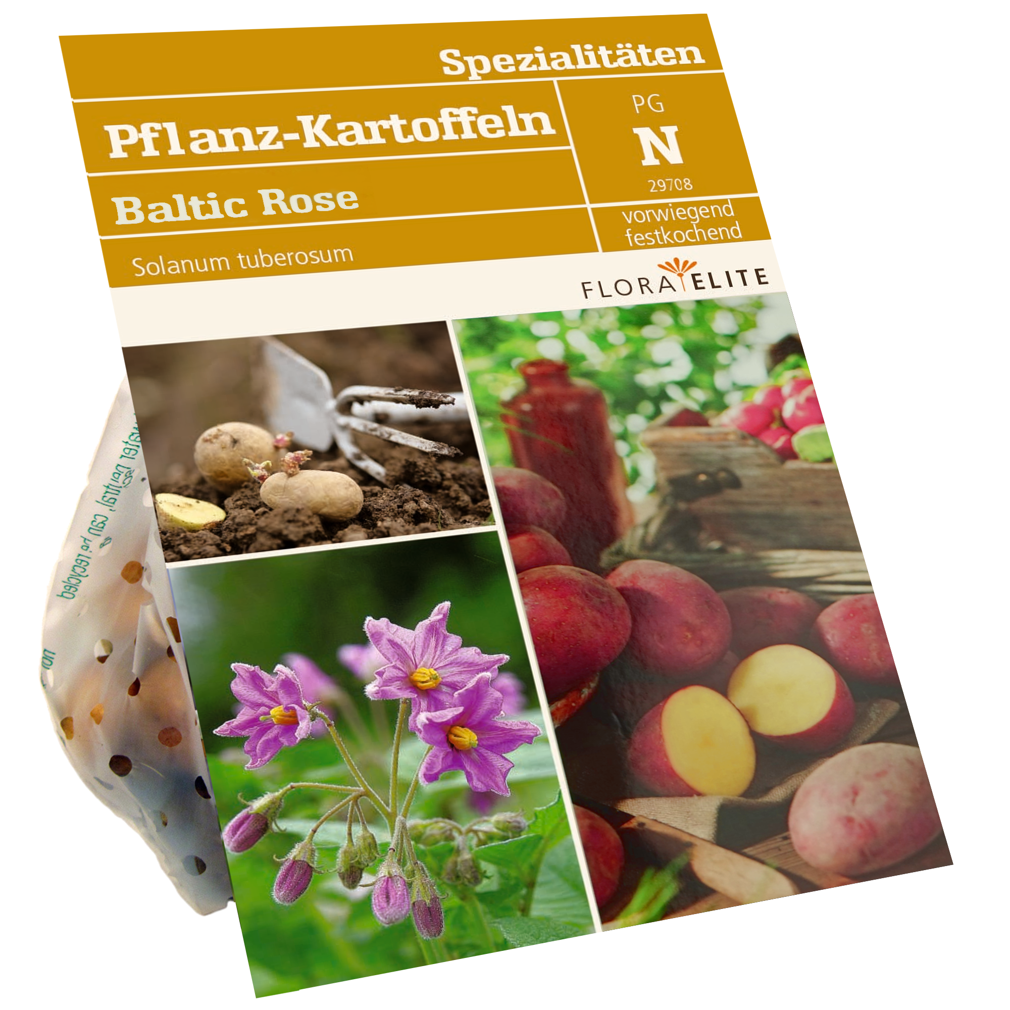 Pflanzkartoffeln 'Baltic Rose' 500 g + product picture