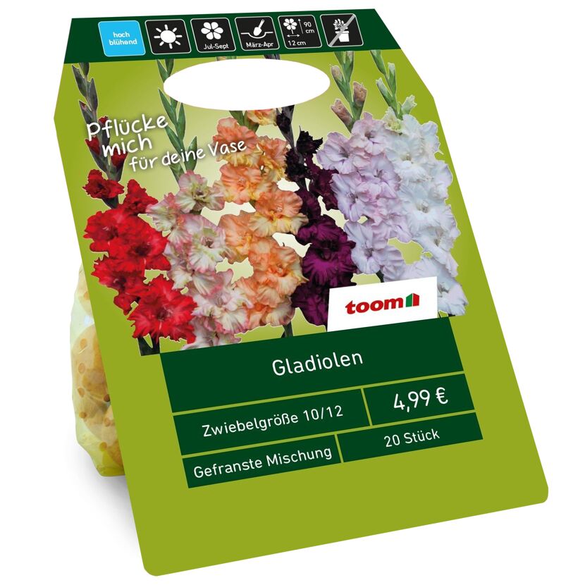 Gladiolen, gefranste Mischung, 20 Stück
