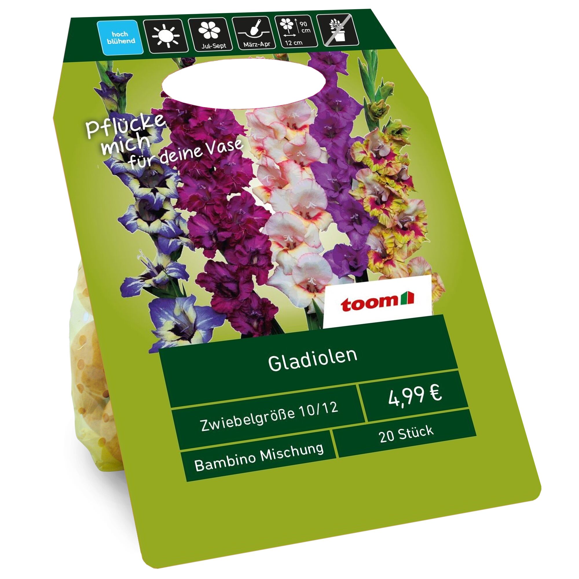 Eine Packung mit 20 Gladiolenzwiebeln der Sorte Bambino Mischung.