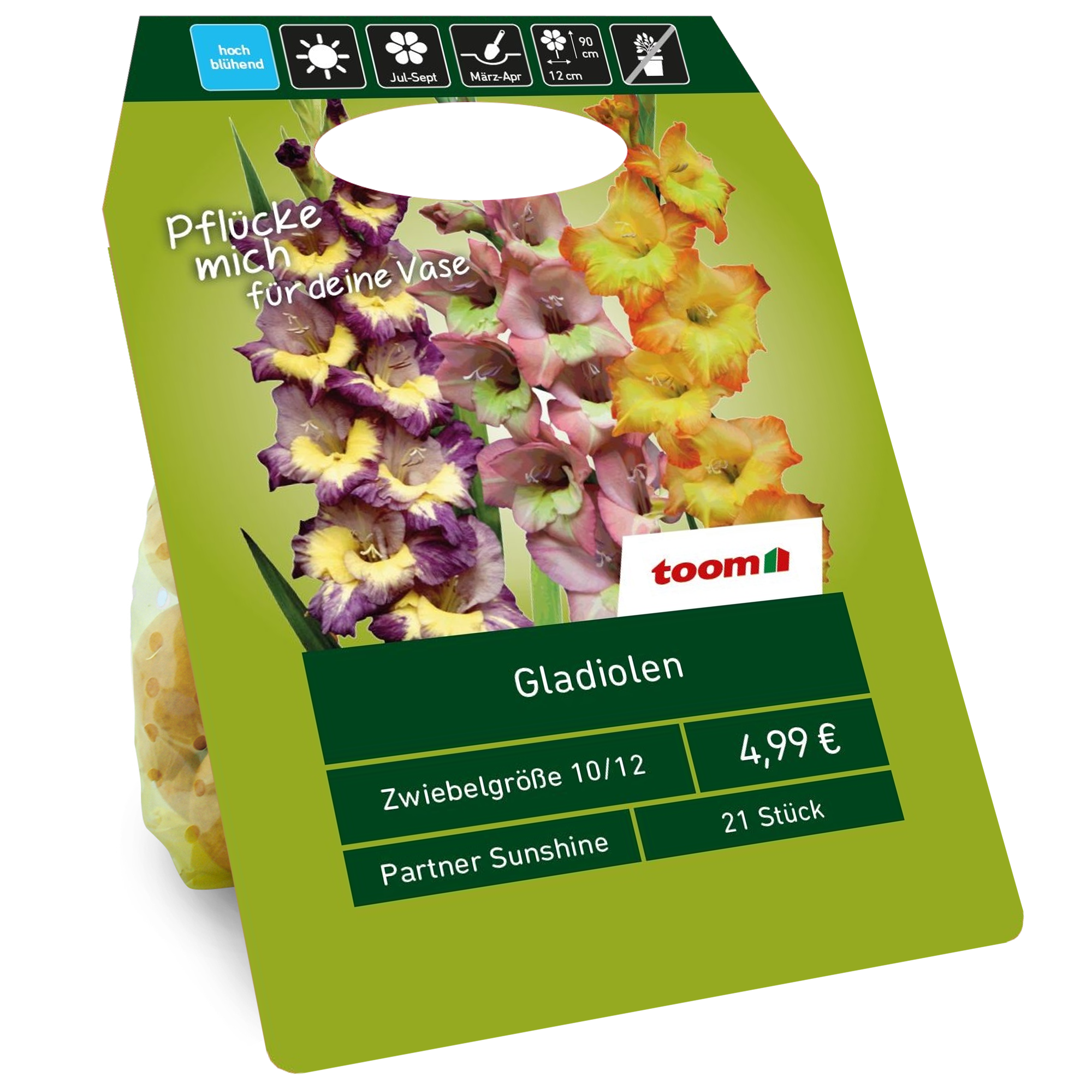 Gladiolen 'Sunshine Partner' Mischung 21 Zwiebeln + product picture