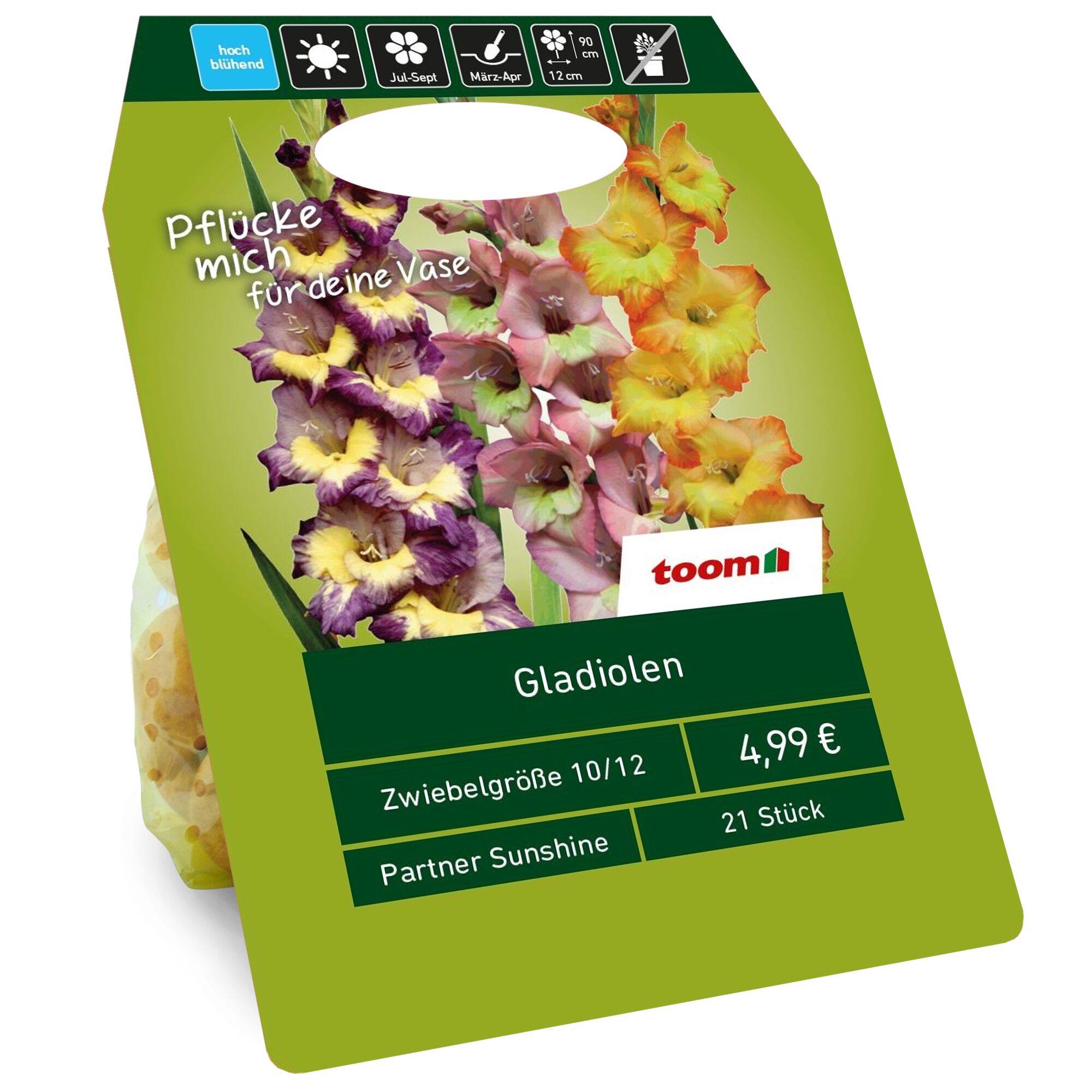 Gladiolen Partner Sunshine, 21 Stück