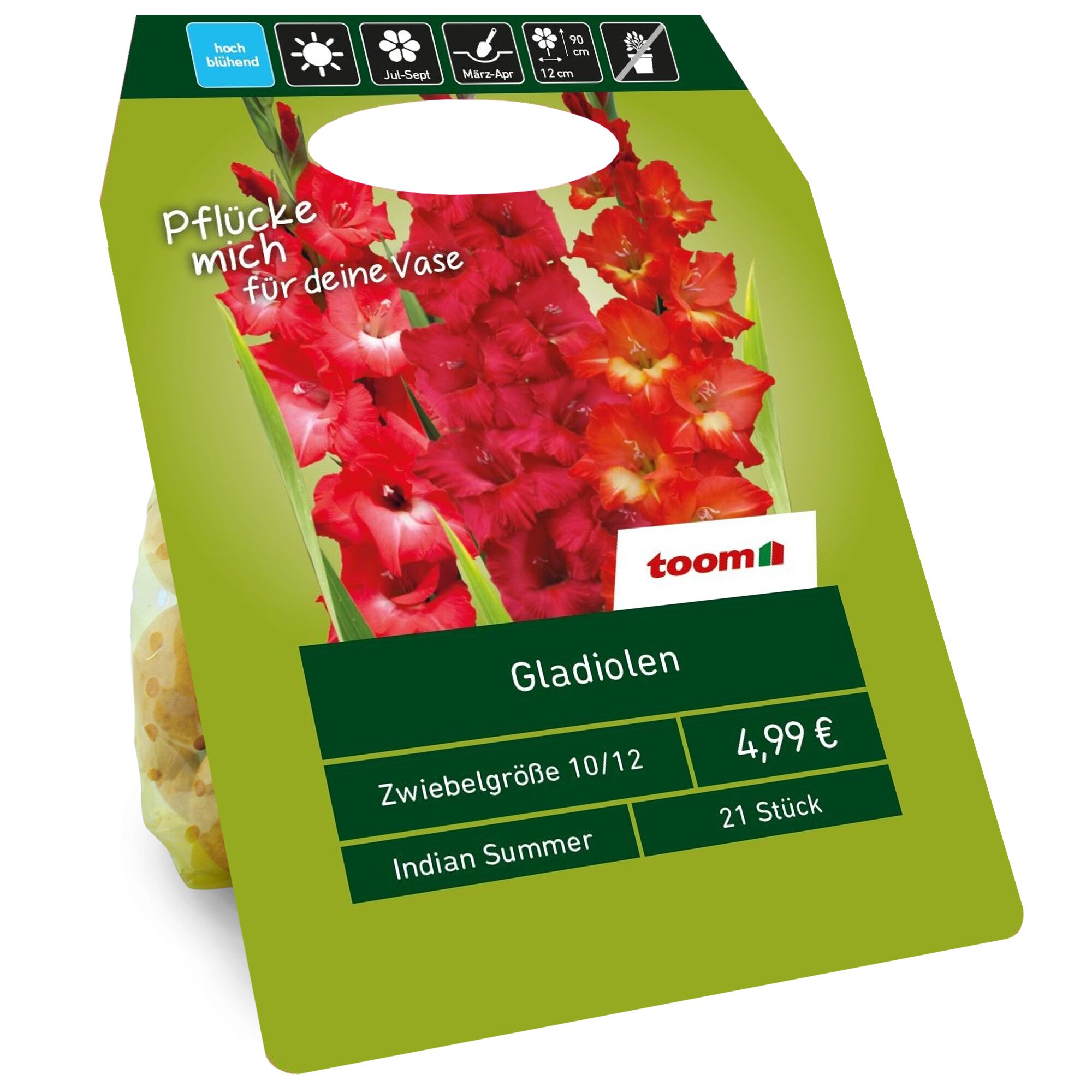 Verpackung mit Gladiolenzwiebeln Indian Summer