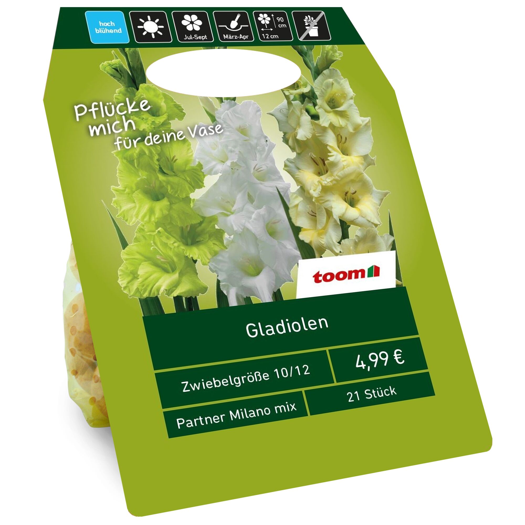 Eine Packung mit Gladiolenzwiebeln von toom.