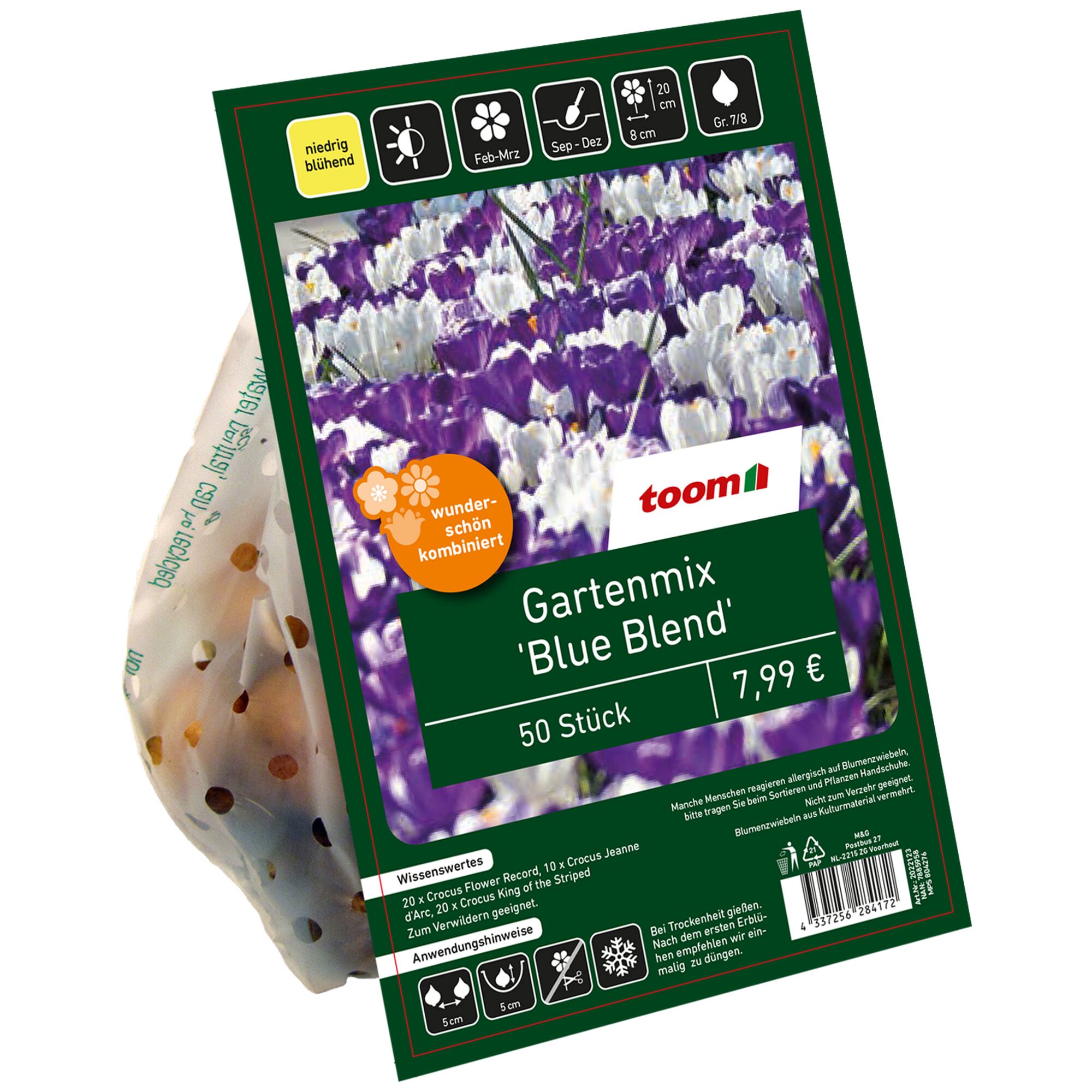 Krokusse Gartenmix 'Blue Blend', 50 Stück