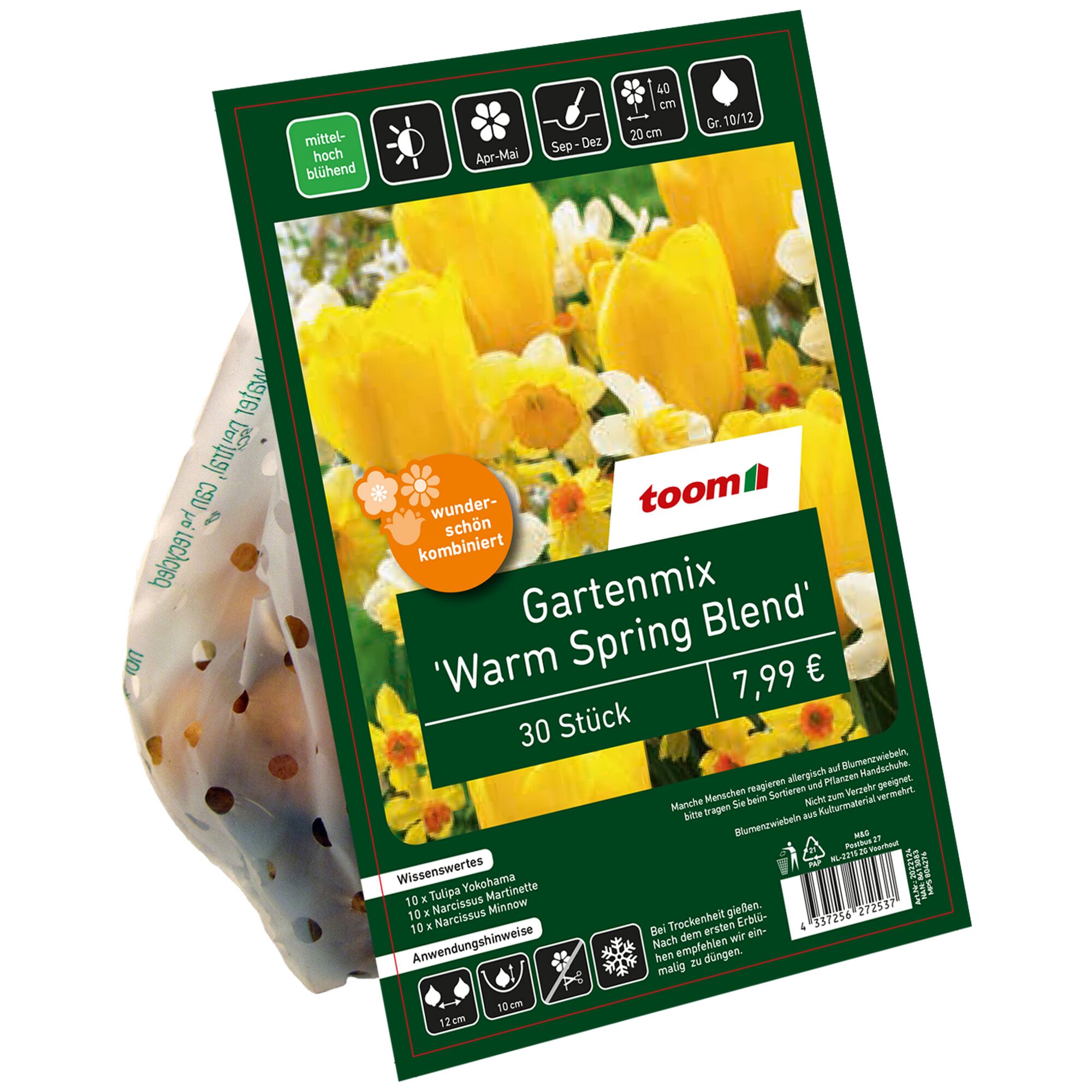 30 Blumenzwiebeln im Netz, Gartenmix Warm Spring Blend von toom