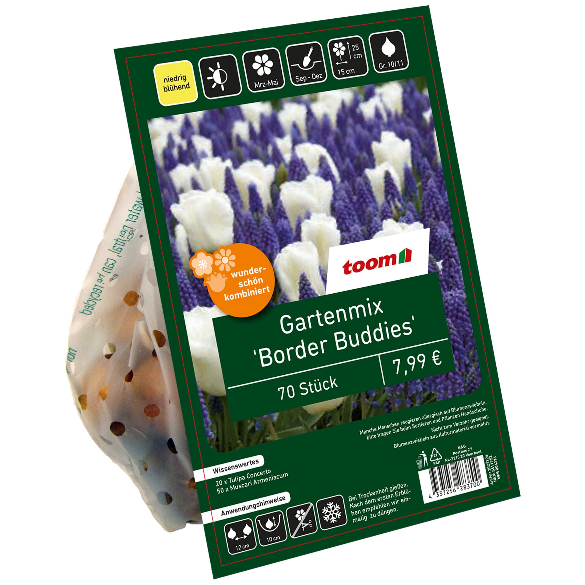 Gartenmix 'Border Buddies' 70 Stück