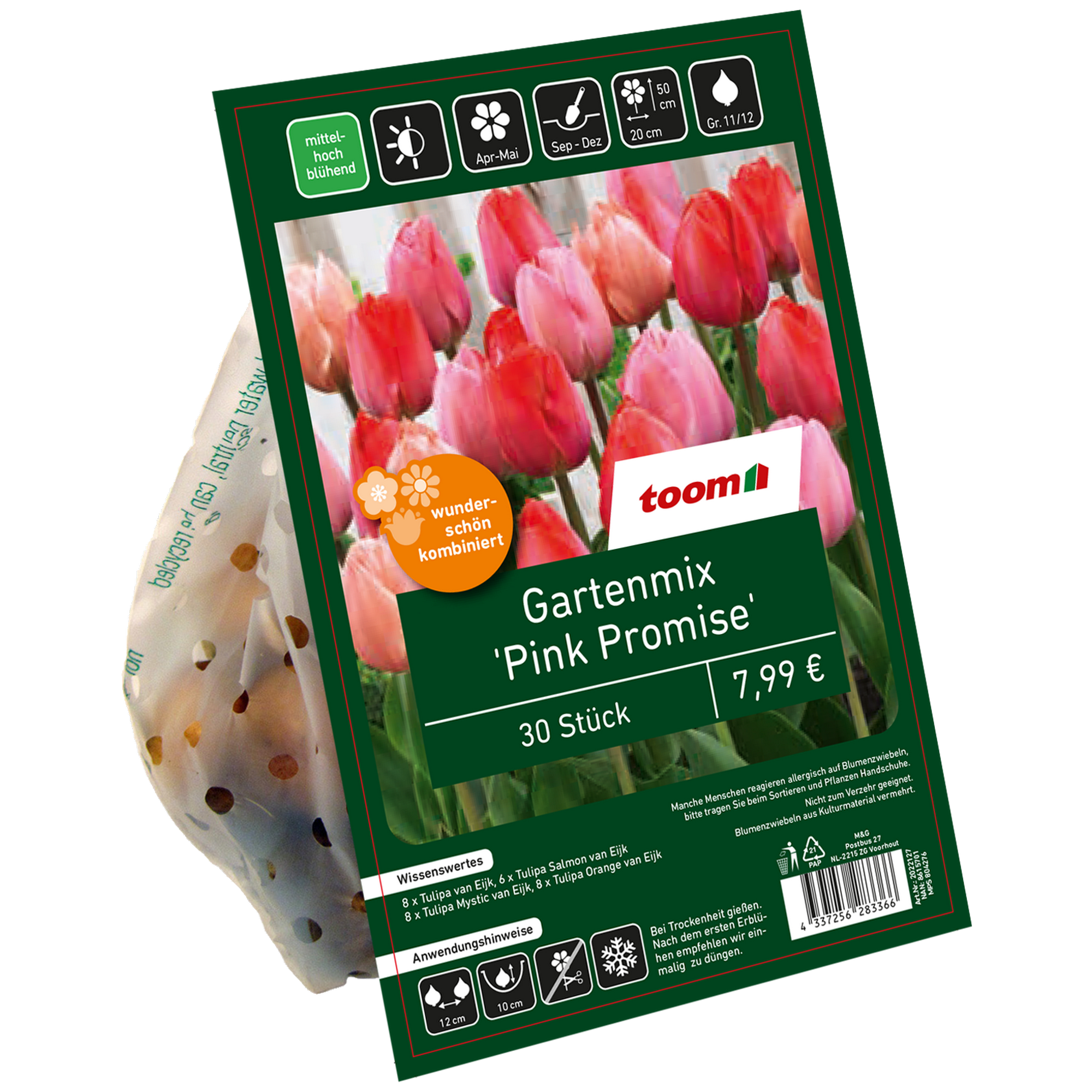 Landscape Bag 'Pink Promise' rot/pink 30 Zwiebeln + product picture