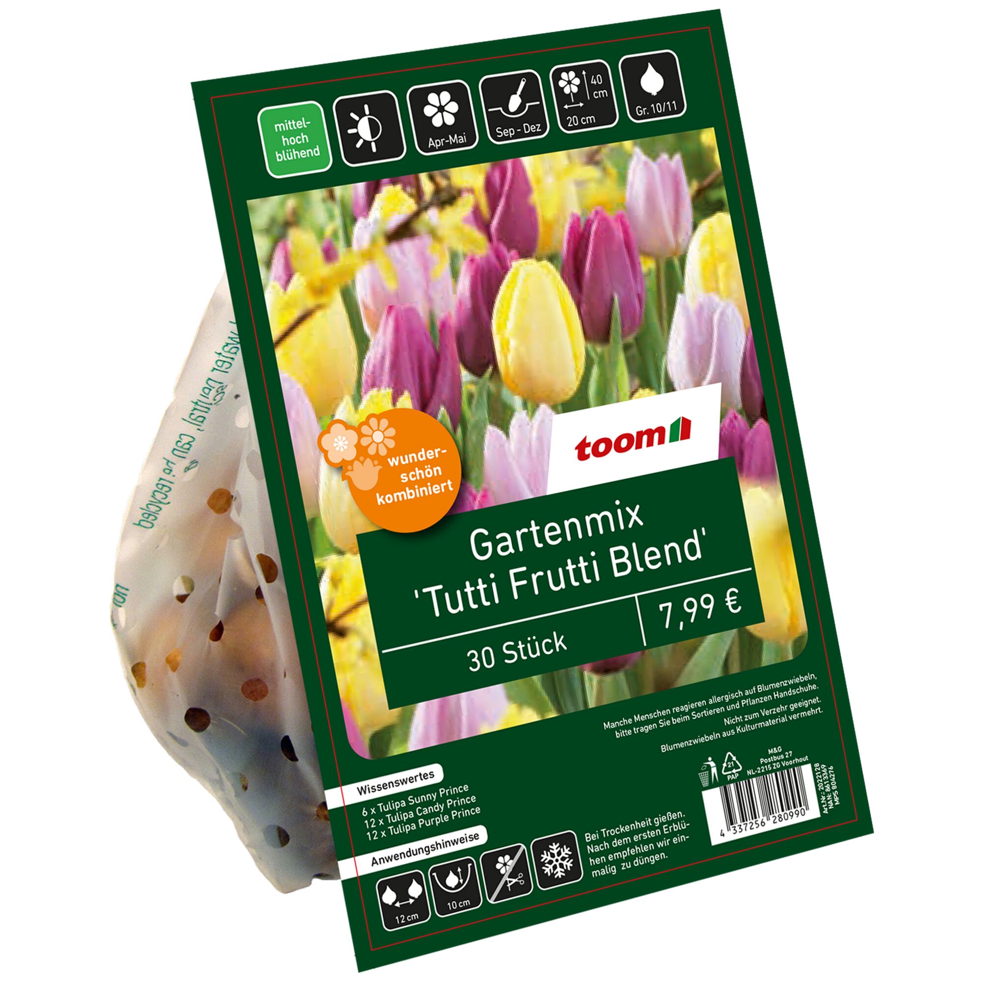 bunte Tulpen im Gartenmix
