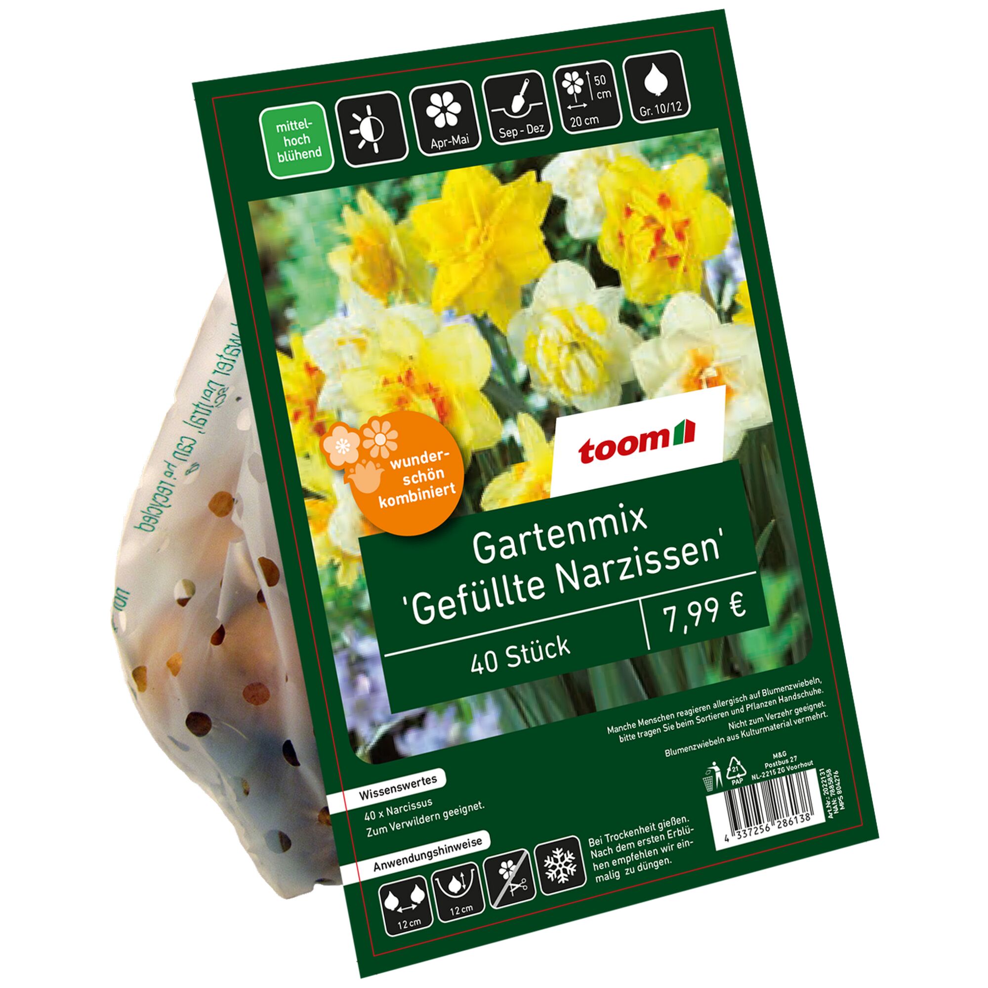 40 gefüllte Narzissen im Netz