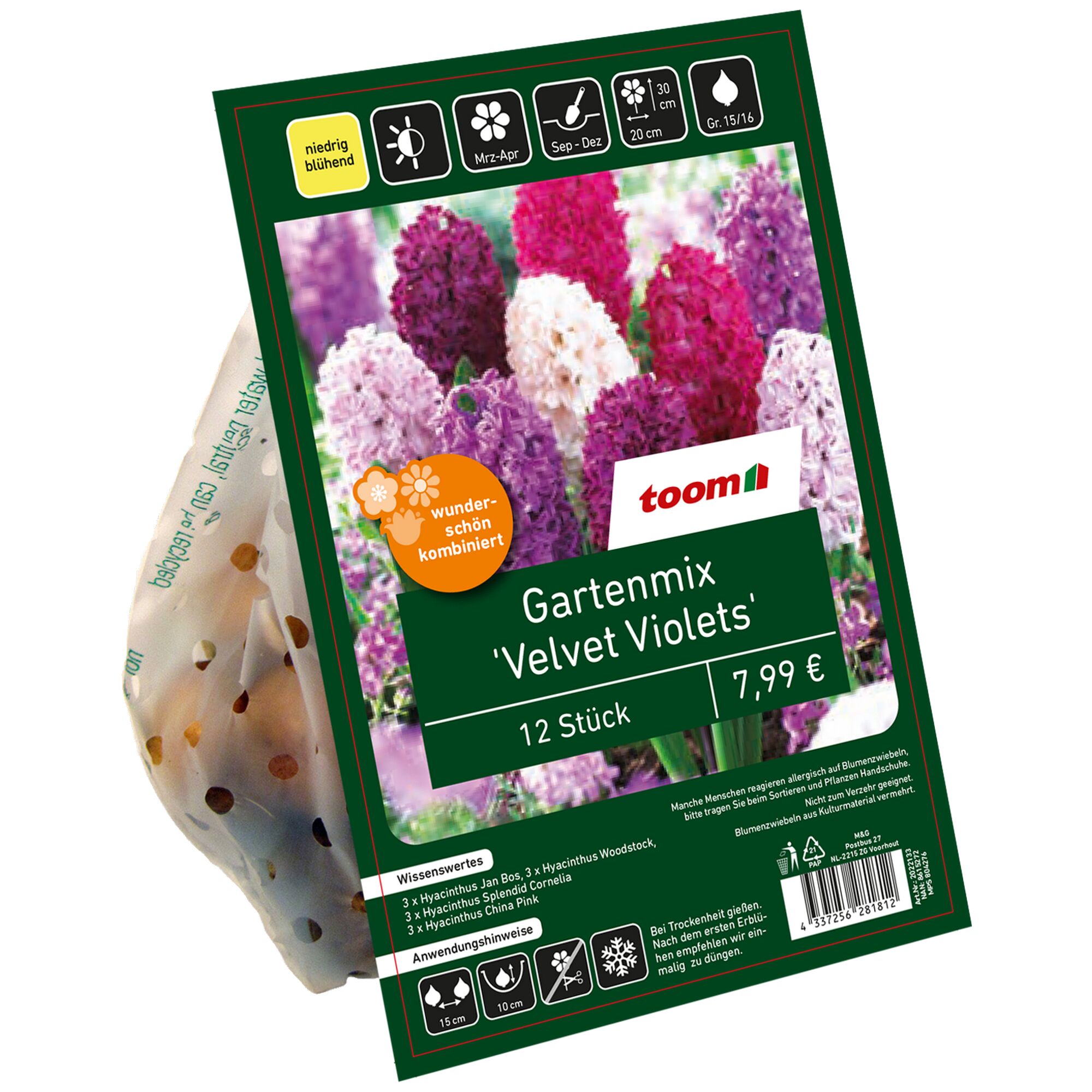 Hyazinthen Gartenmix 'Velvet Violets', 12 Stück