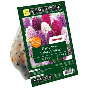 Landscape Bag 'Velvet Violets' 12 Zwiebeln
