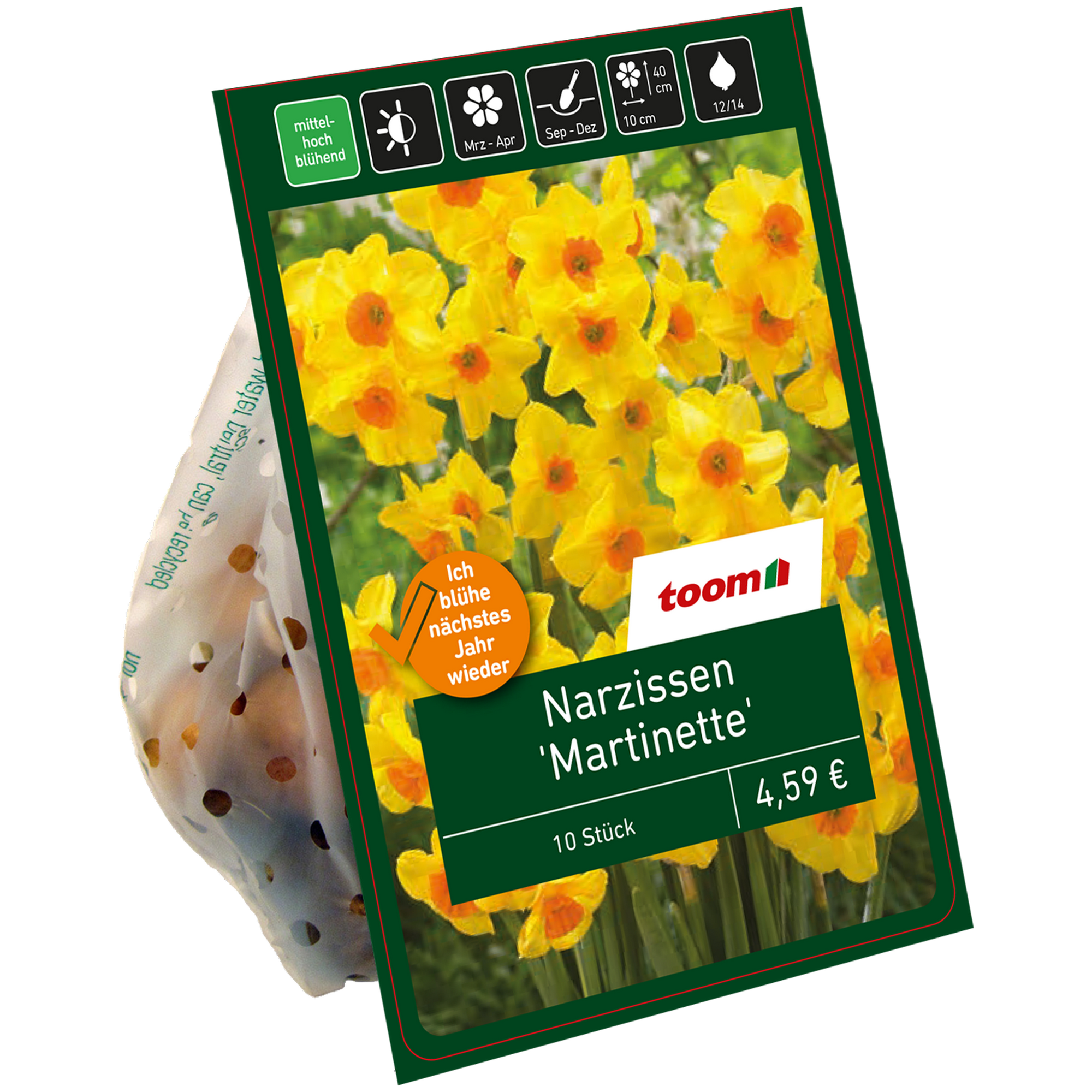 Narzisse 'Martinette' gelb-orange 10 Zwiebeln + product picture