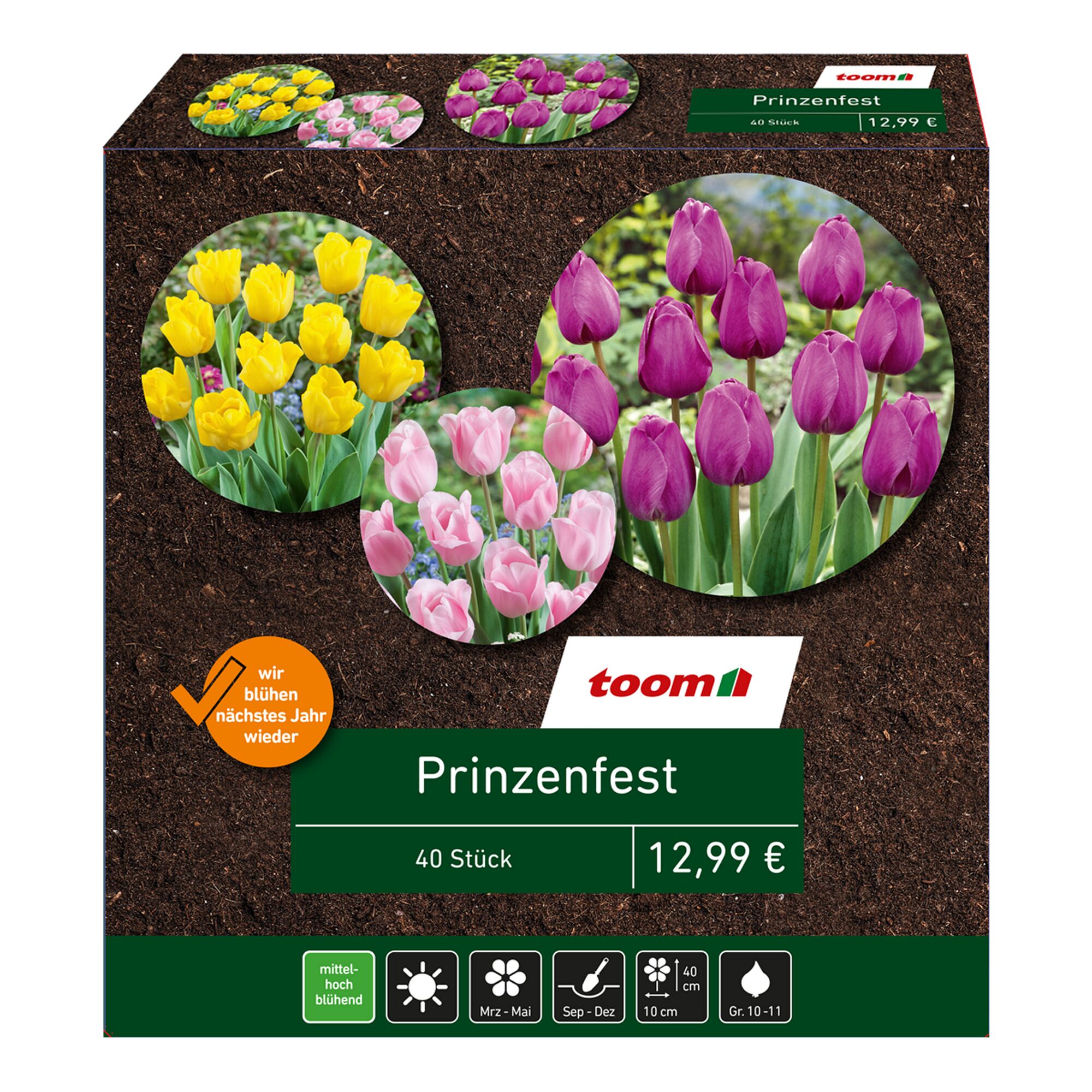 Tulpen in Gelb, Rosa und Lila, Toom