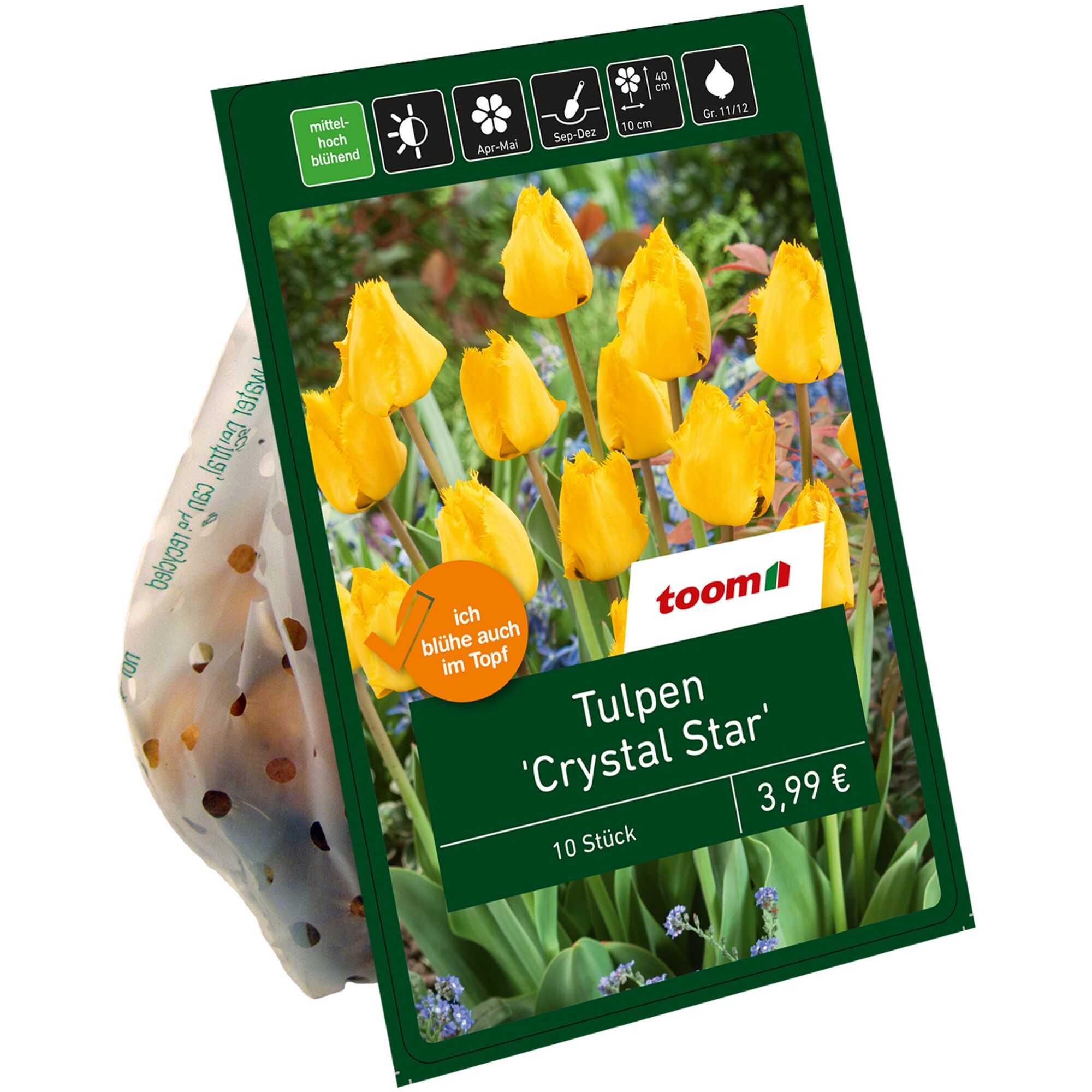 Gelbe Tulpen 'Crystal Star' im Netz