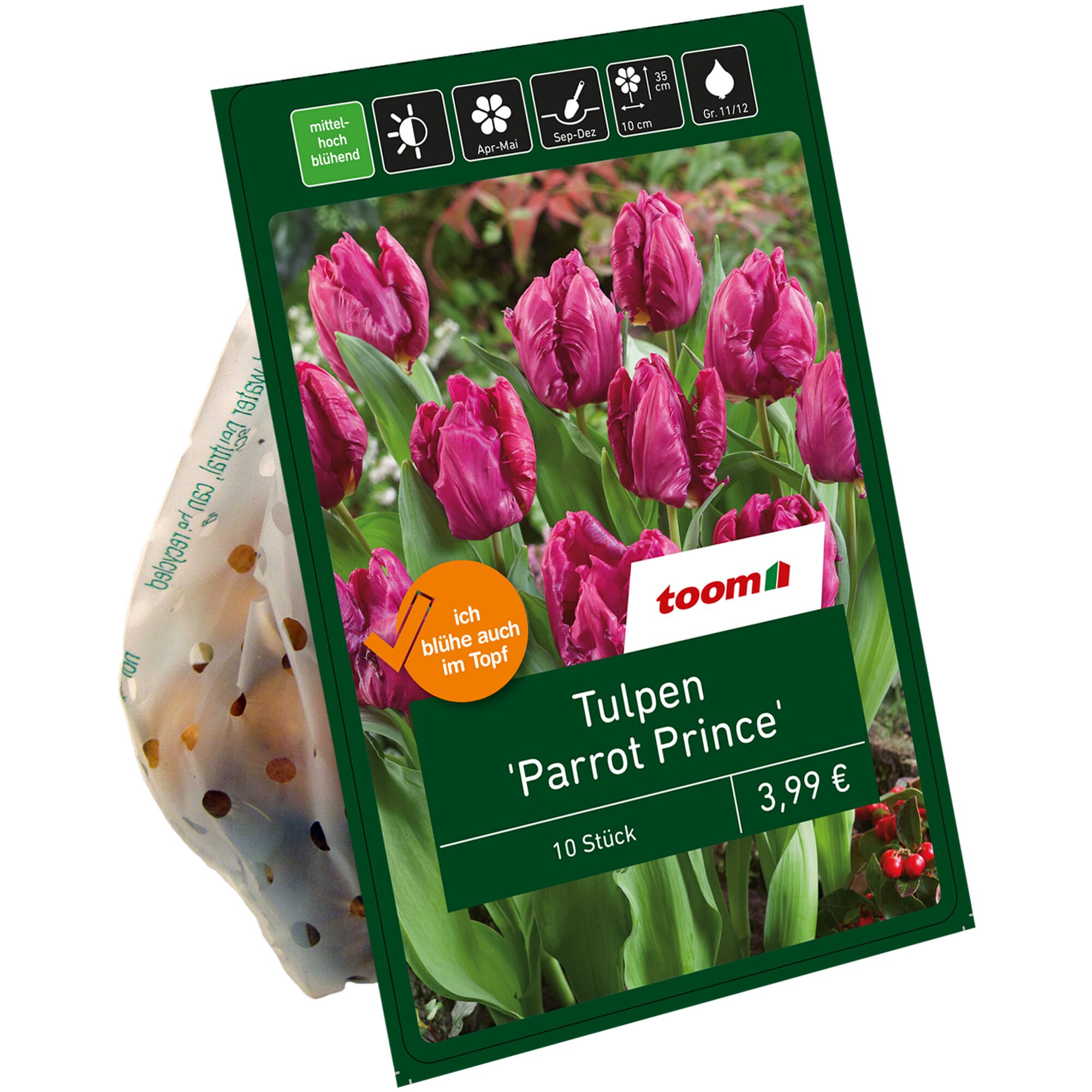 Verpackung mit rosa Tulpen 'Parrot Prince'