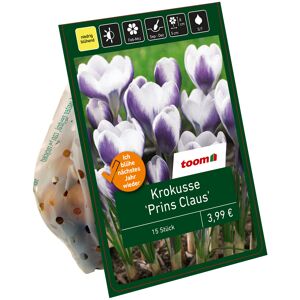 Krokus 'Prins Claus' weiß/violett 15 Zwiebeln