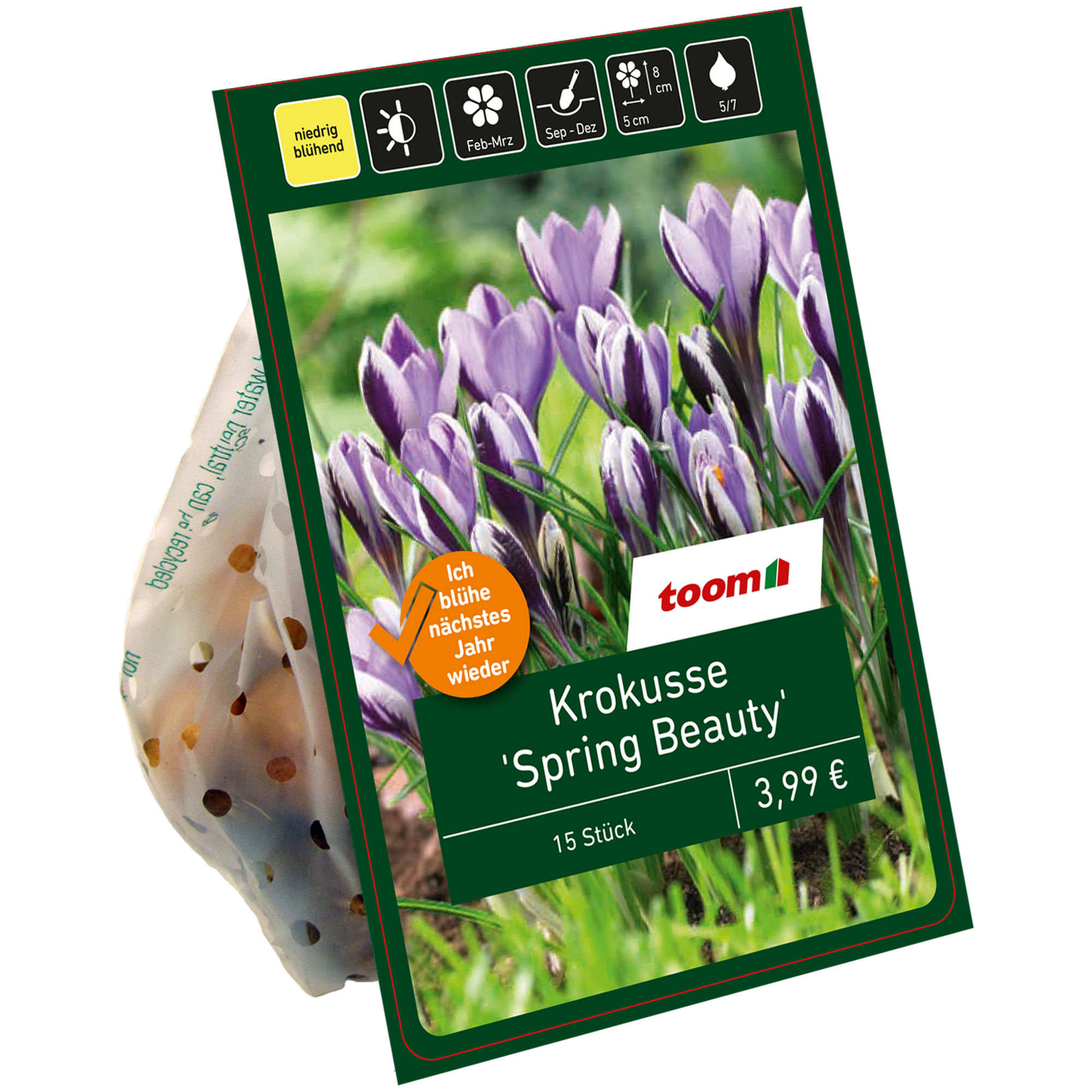 Krokus 'Spring Beauty' violett 15 Zwiebeln + product picture