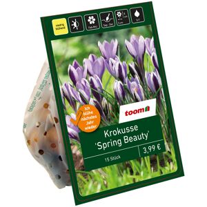 Krokus 'Spring Beauty' violett 15 Zwiebeln