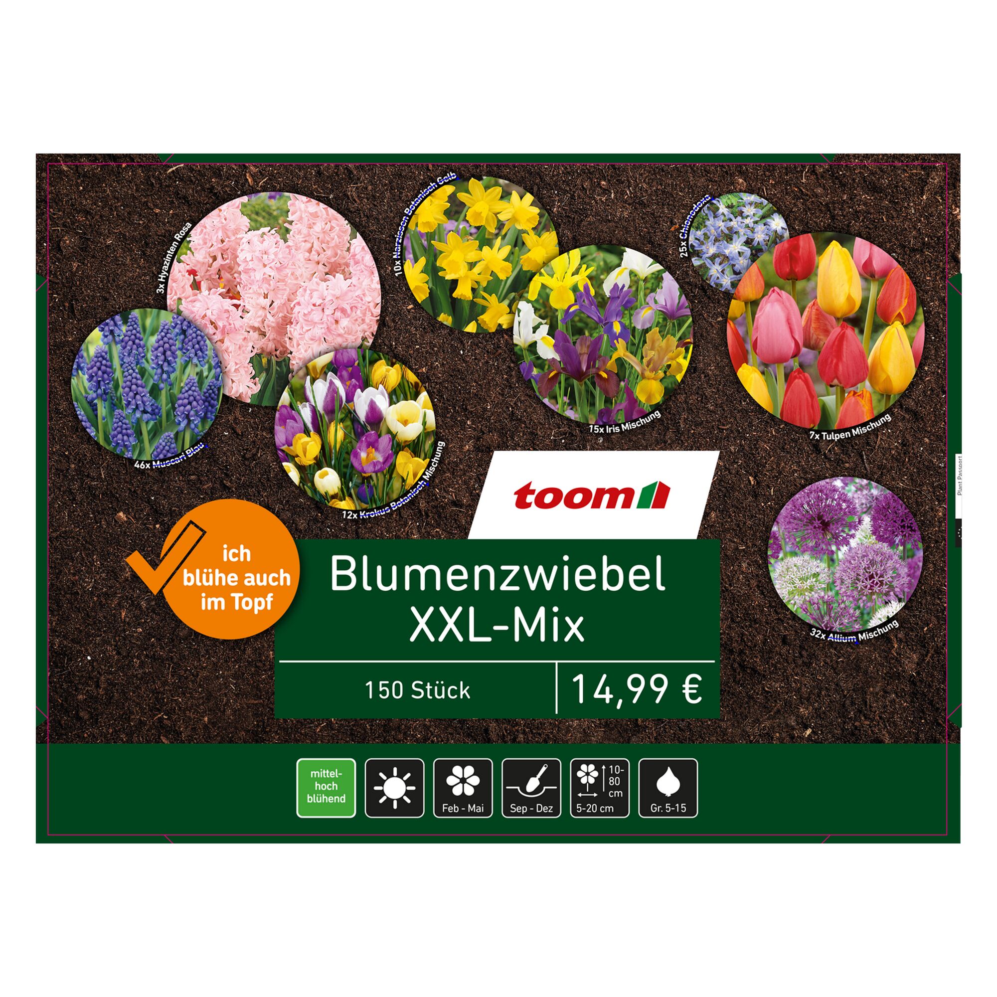 toom Blumenzwiebel XXL-Mix 150 Stück