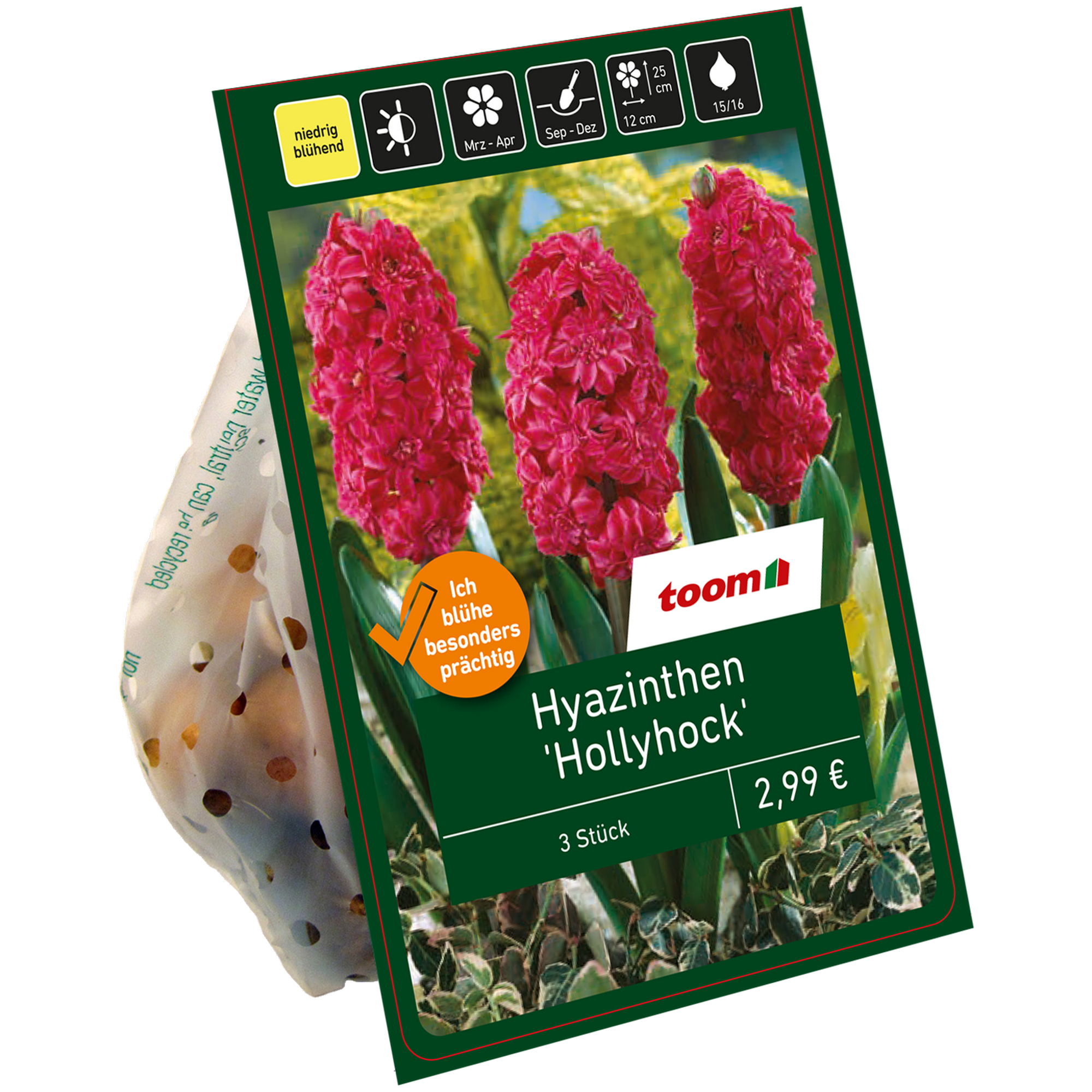 Hyazinthe 'Hollyhock' pink 3 Zwiebeln + product picture
