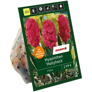 Hyazinthe 'Hollyhock' pink 3 Zwiebeln