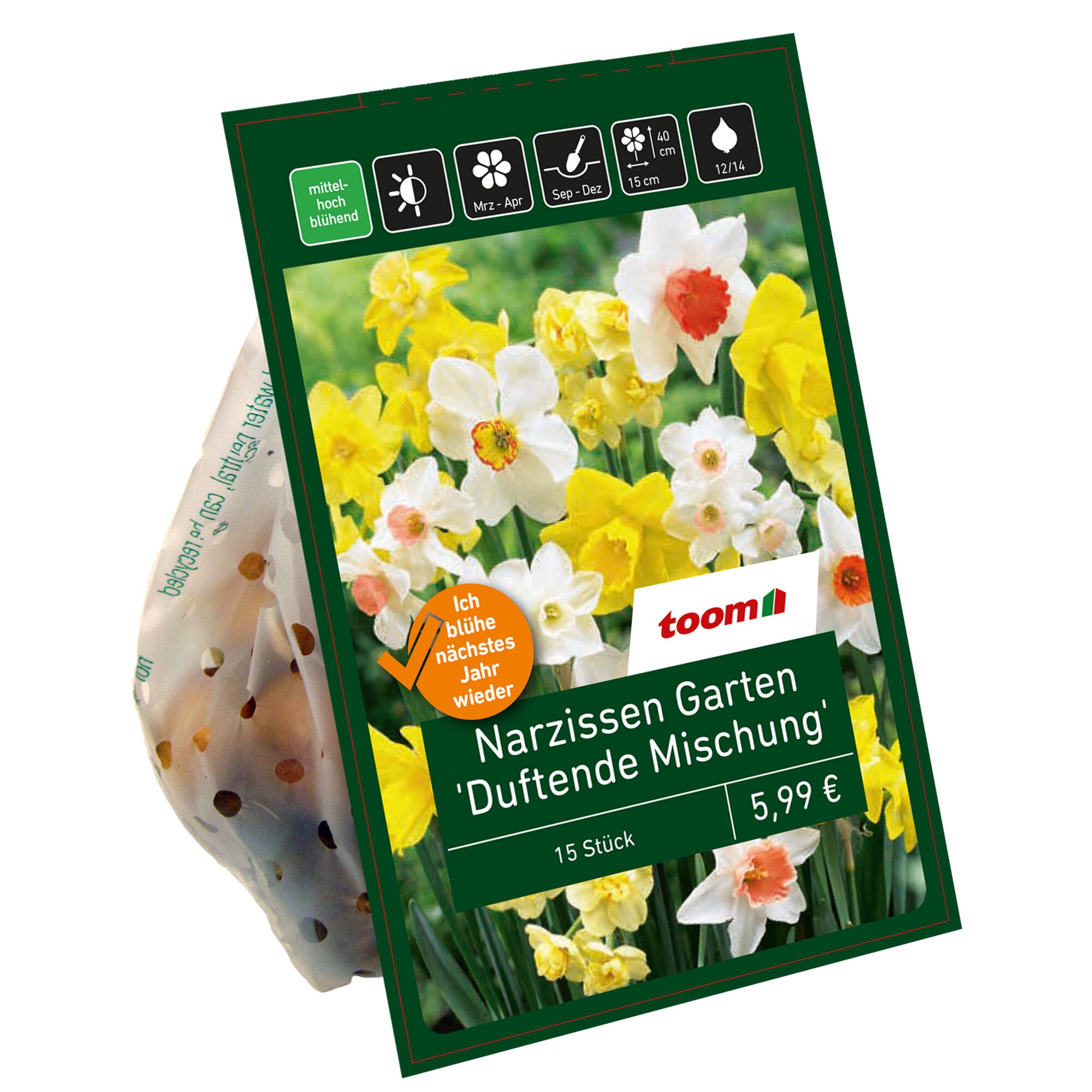 toom Narzissen Garten 'Duftende Mischung'