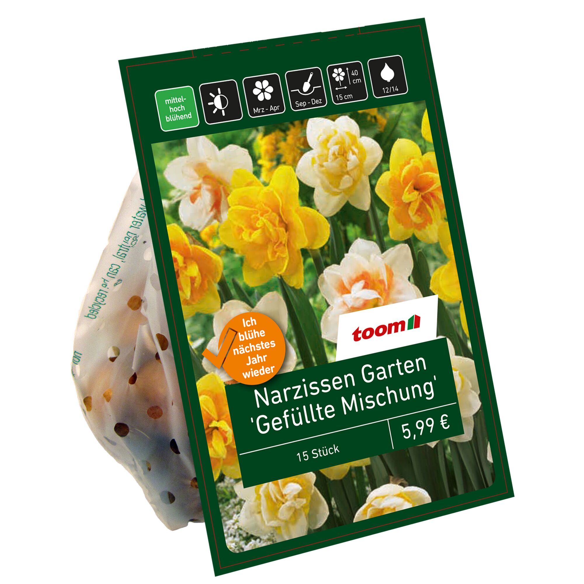 Eine Packung mit 15 Narzissenzwiebeln, gefüllt, gemischt.