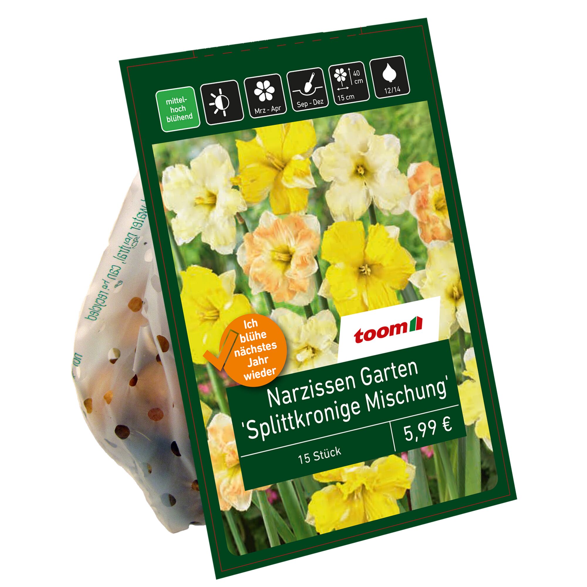 Toom Narzissen Garten 'Splittkronige Mischung'