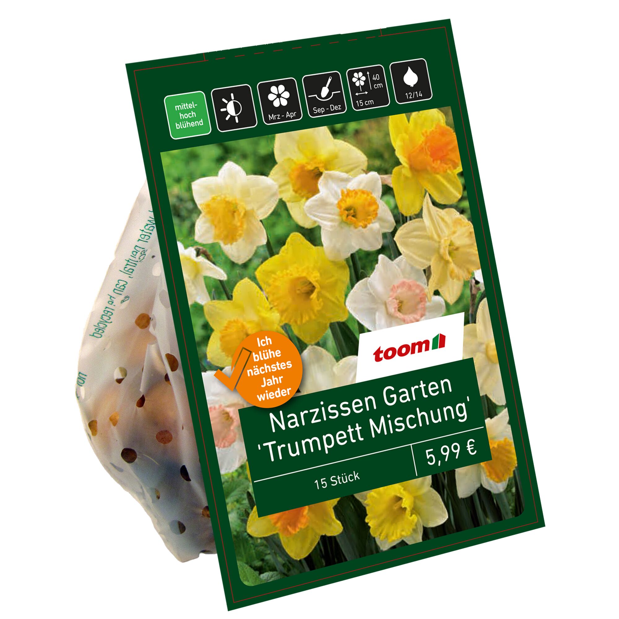 Eine Tüte mit Blumenzwiebeln von Trompetennarzissen.