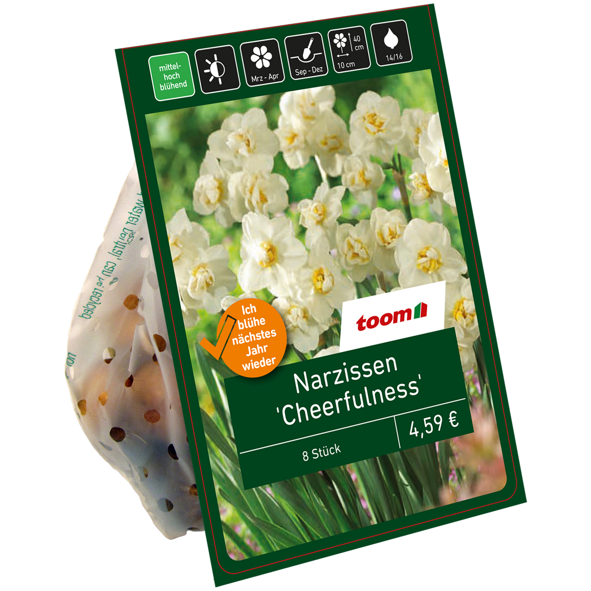 Narzisse 'Cheerfulness' weiß 8 Zwiebeln + product picture