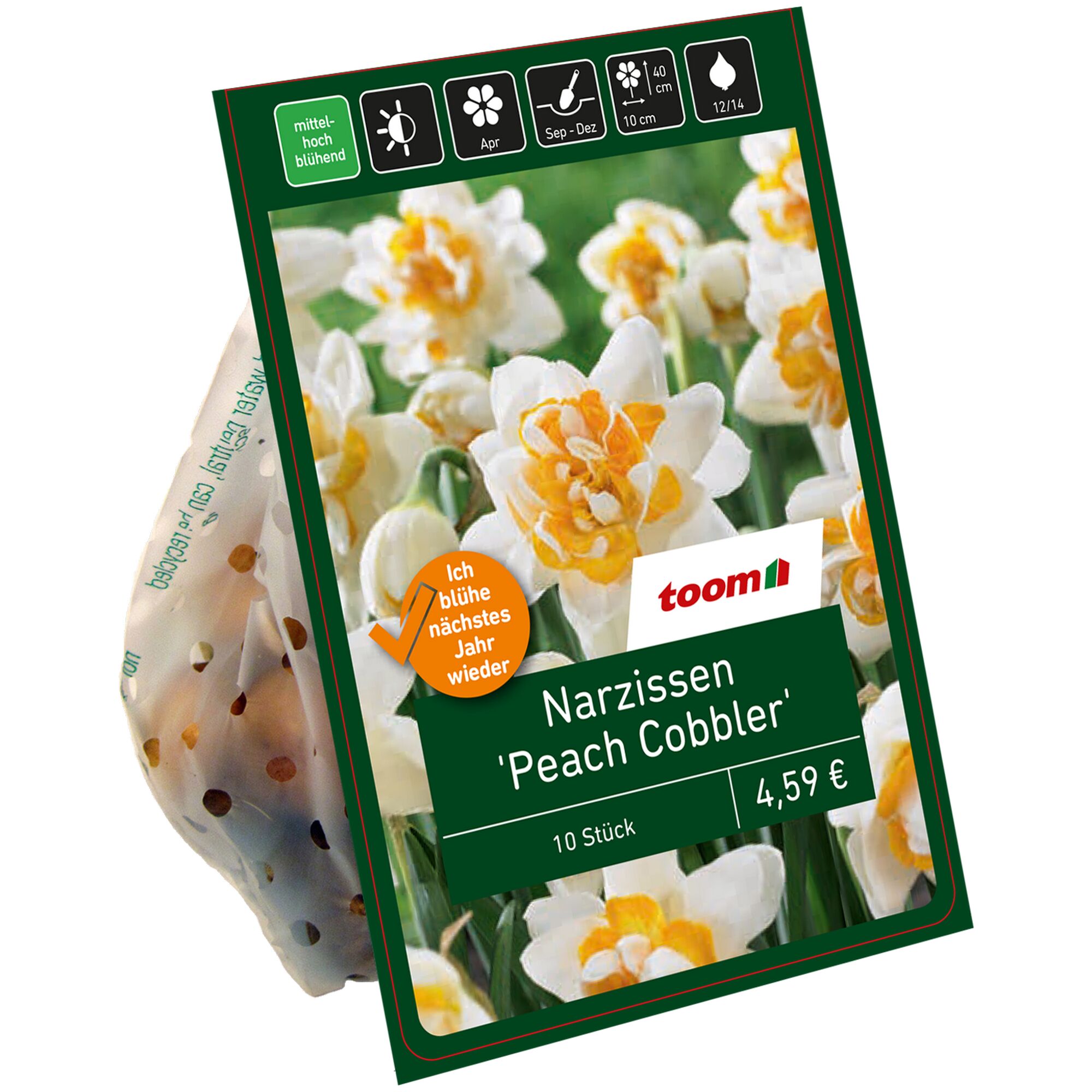 Netz mit 10 Narzissenzwiebeln 'Peach Cobbler'