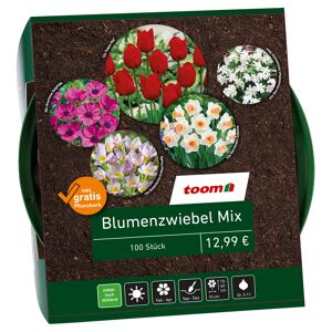 Blumenzwiebel-Mix rot 100 Zwiebeln, inklusive Pflanzkorb