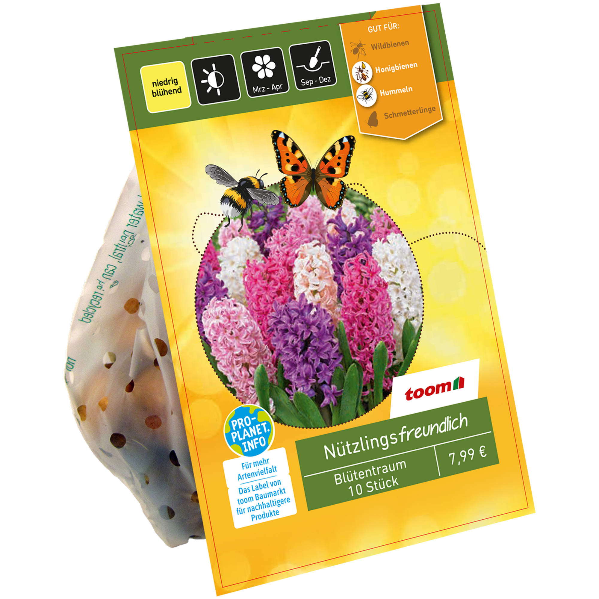Hyazinthen-Mix 'Blütentraum' 10 Zwiebeln + product picture
