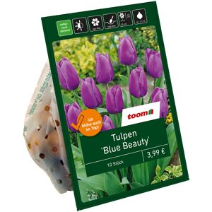 Tulpe 'Blue Beauty' violett 10 Zwiebeln