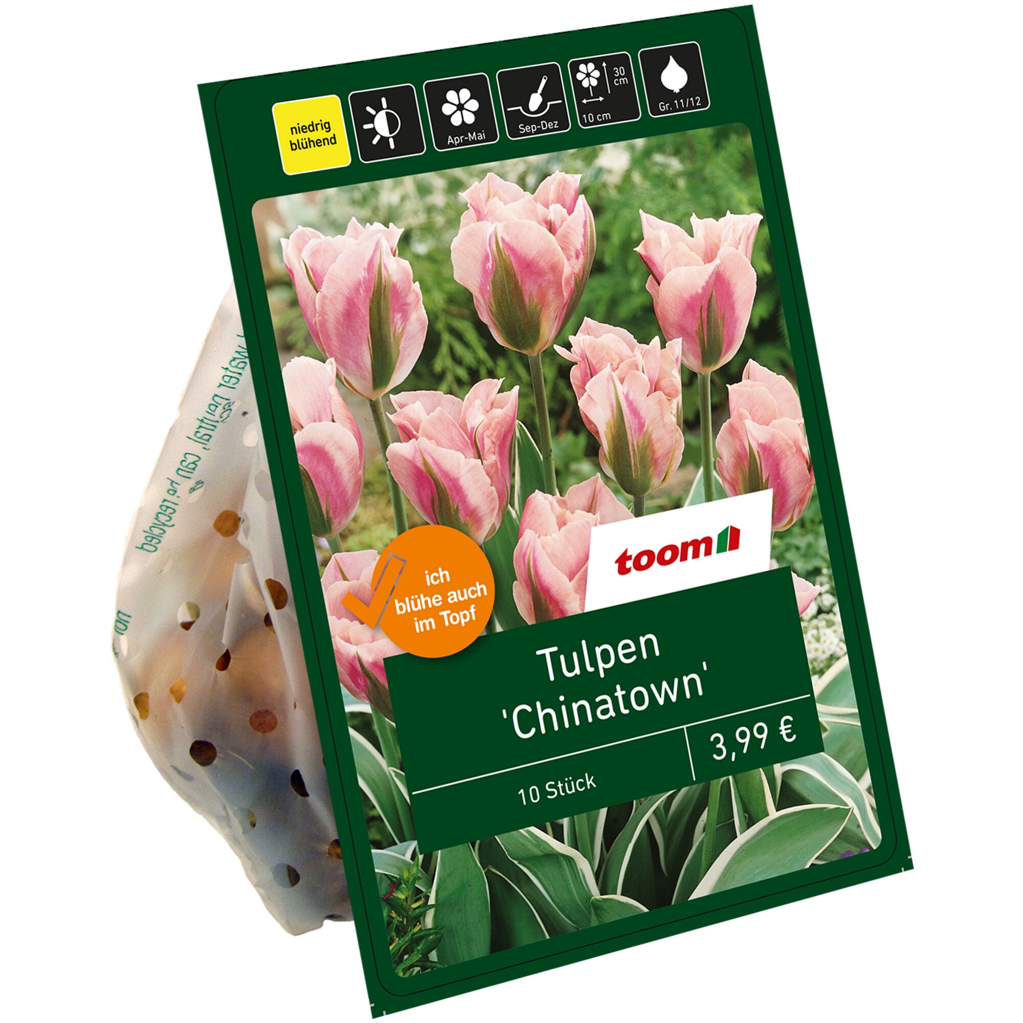 Tulpen 'Chinatown', 10 Stück