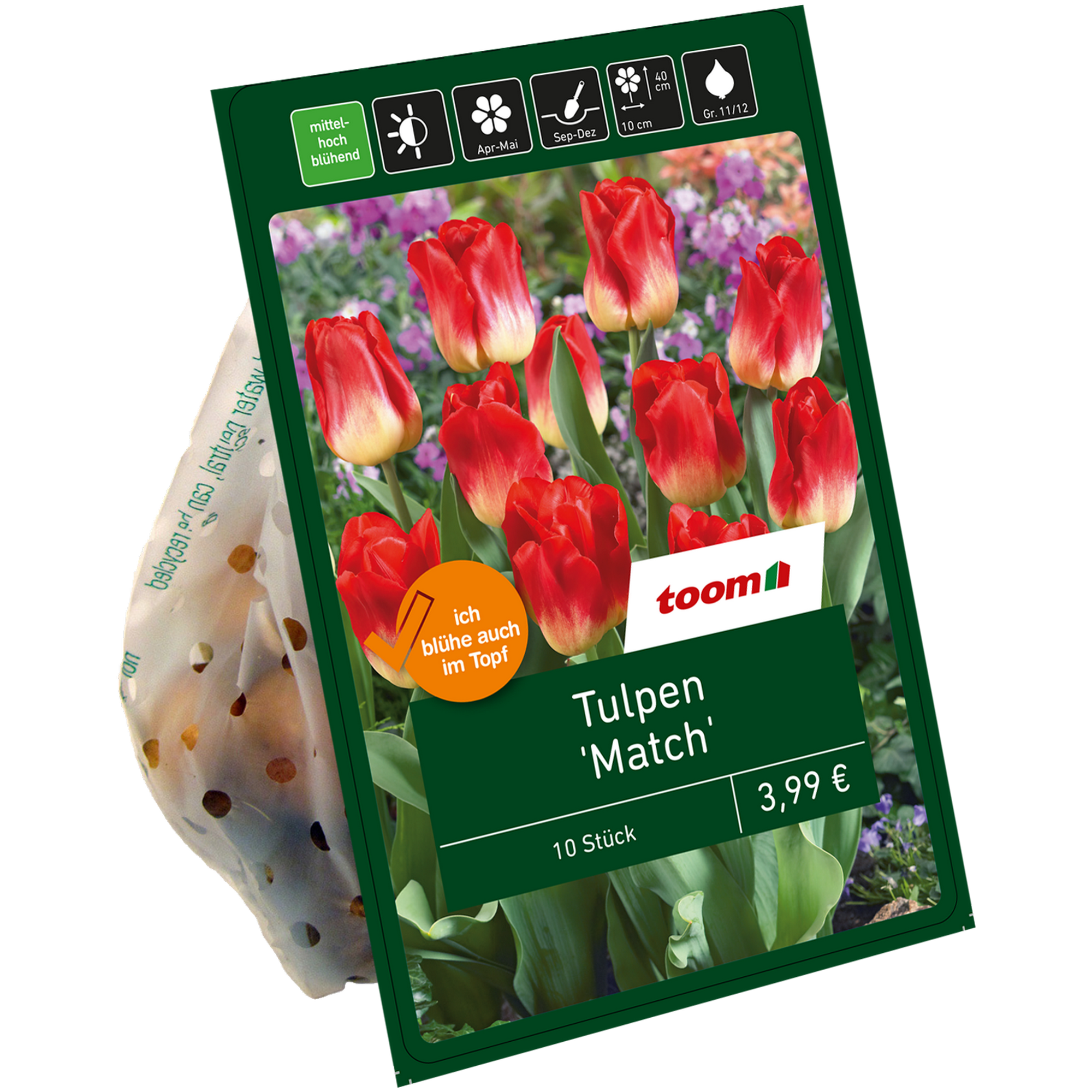 Tulpe 'Match' rot/gelb 10 Zwiebeln + product picture