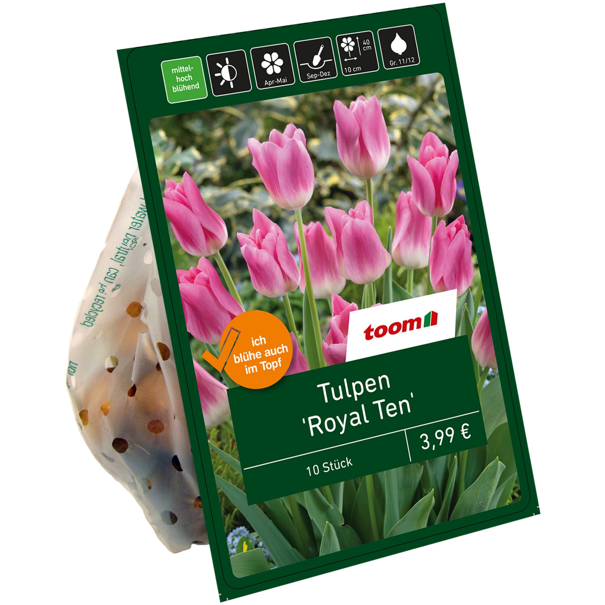 Tüte mit 10 Tulpen 'Royal Ten'-Zwiebeln