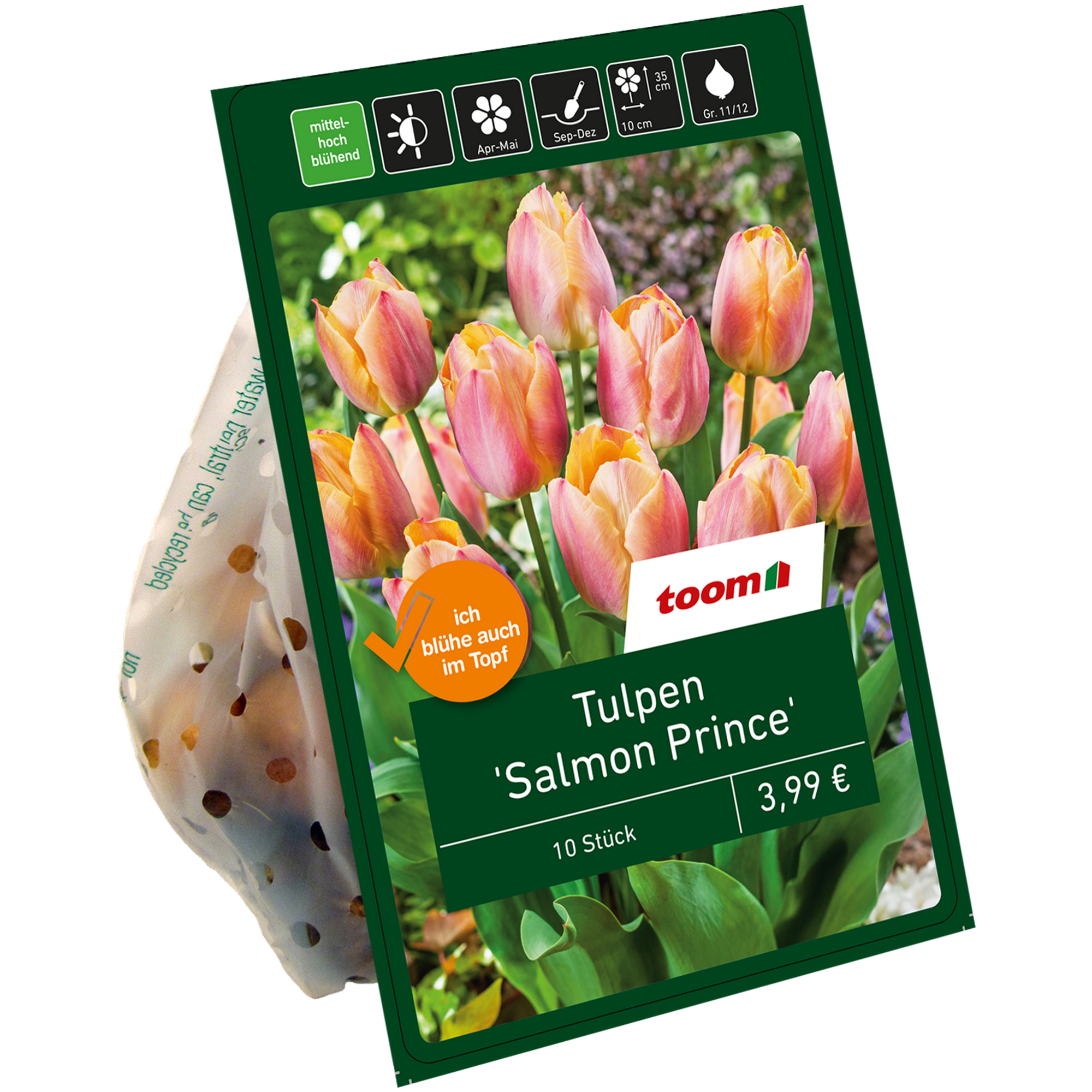 Tulpe 'Salmon Prince' apricot 10 Zwiebeln + product picture