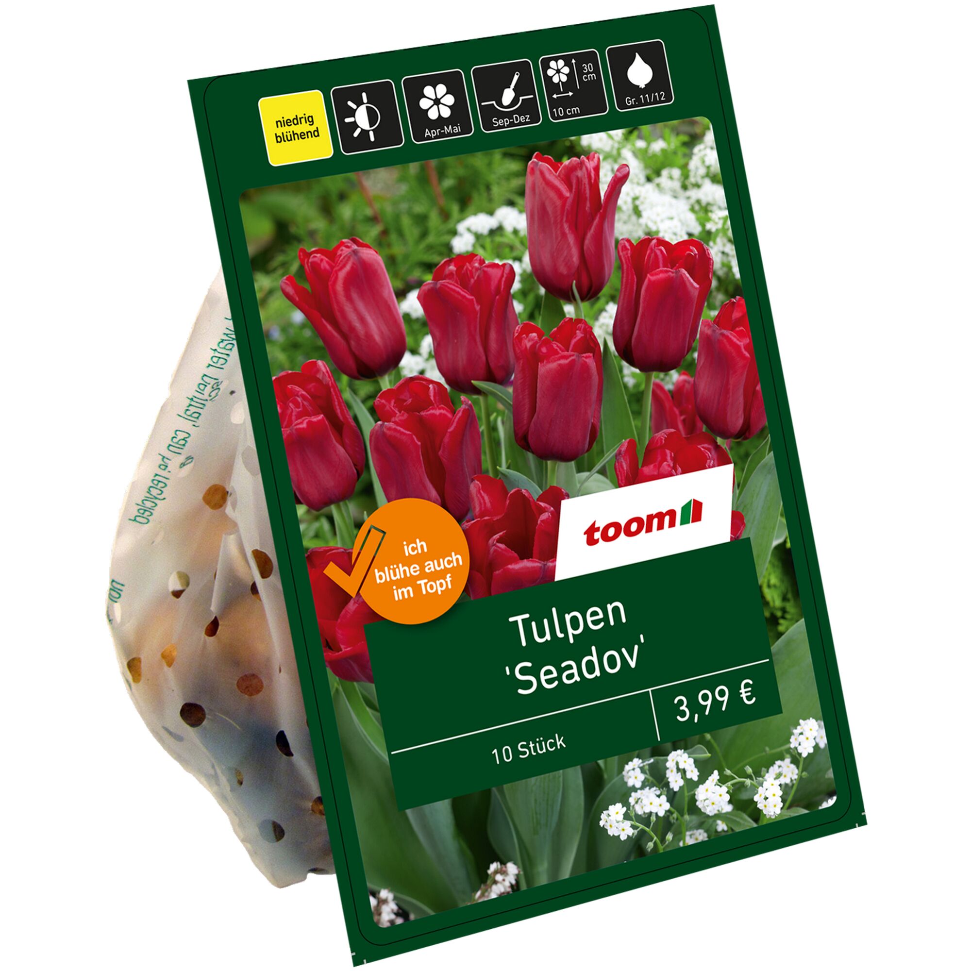 Tulpen 'Seadov', rot, 10 Stück