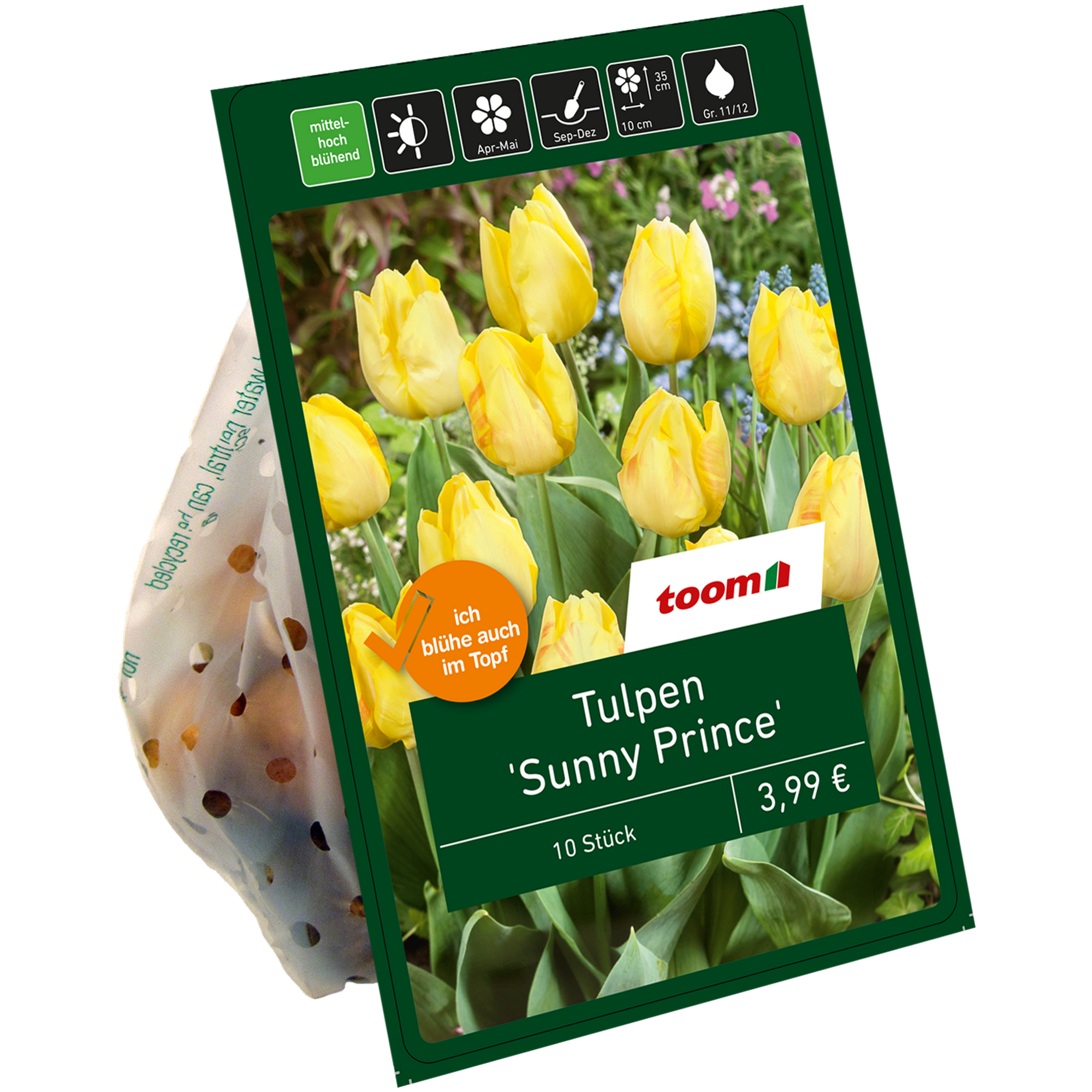 Tulpe 'Sunny Prince' gelb 10 Zwiebeln + product picture