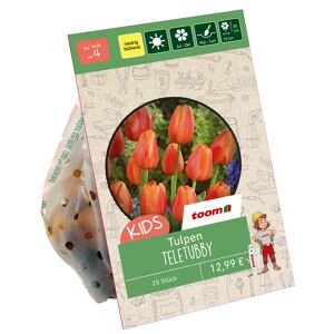Tulpe 'Teletubby' orange/rot 25 Zwiebeln