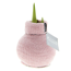 Amaryllis gewachst im Söckchen 'Cozy Fluffy' rosa