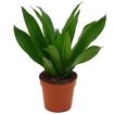 hauptbild