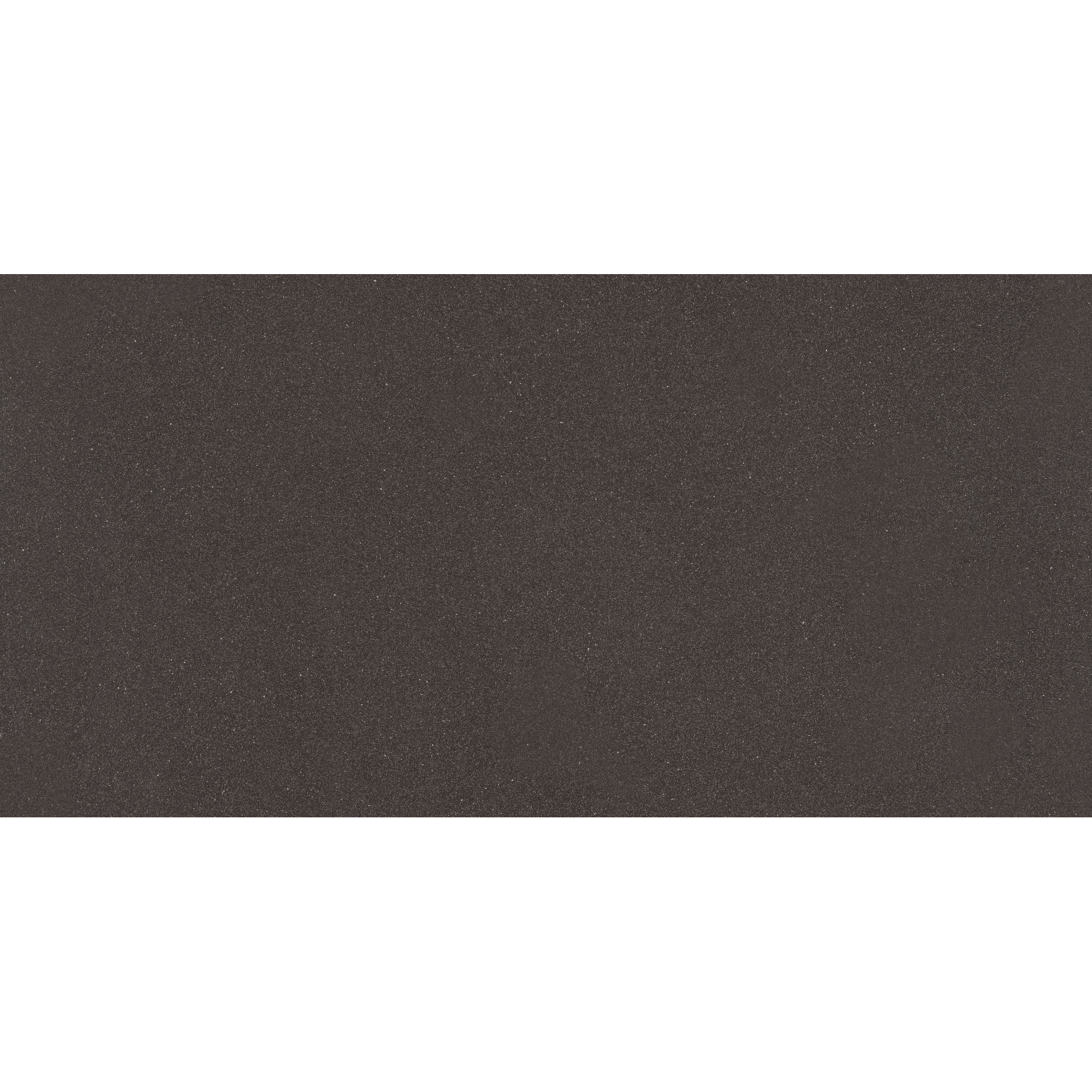 Bodenfliese 'Moondust' schwarz 60 x 30 cm ǀ toom Baumarkt