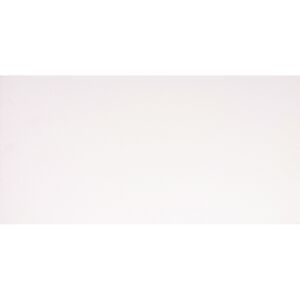 Wandfliese 'Bianca' Steingut weiß glänzend 29 x 59,3 cm